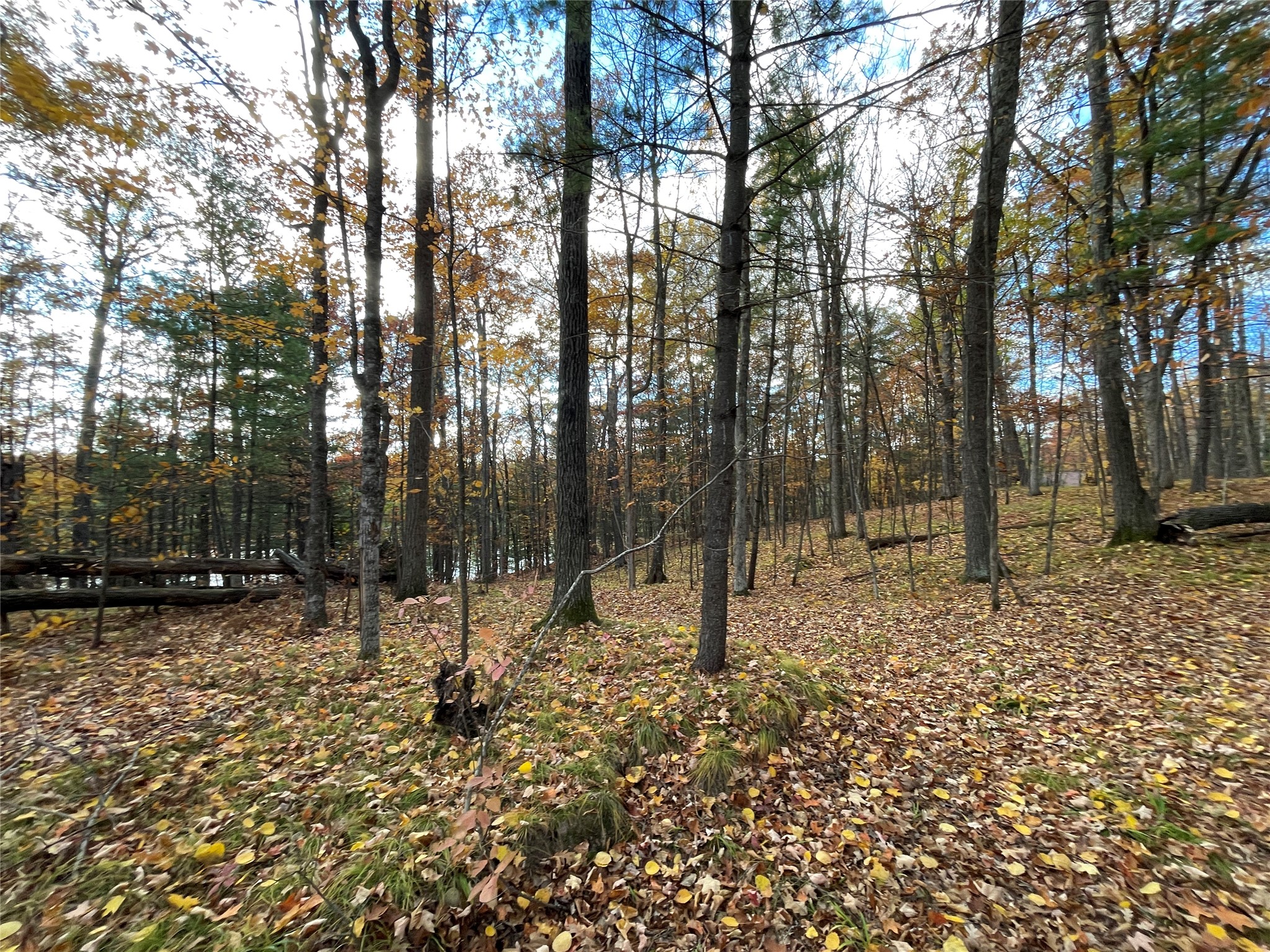 8 W Tanager Trail Hayward WI 54843 - Windigo 1600616 image16