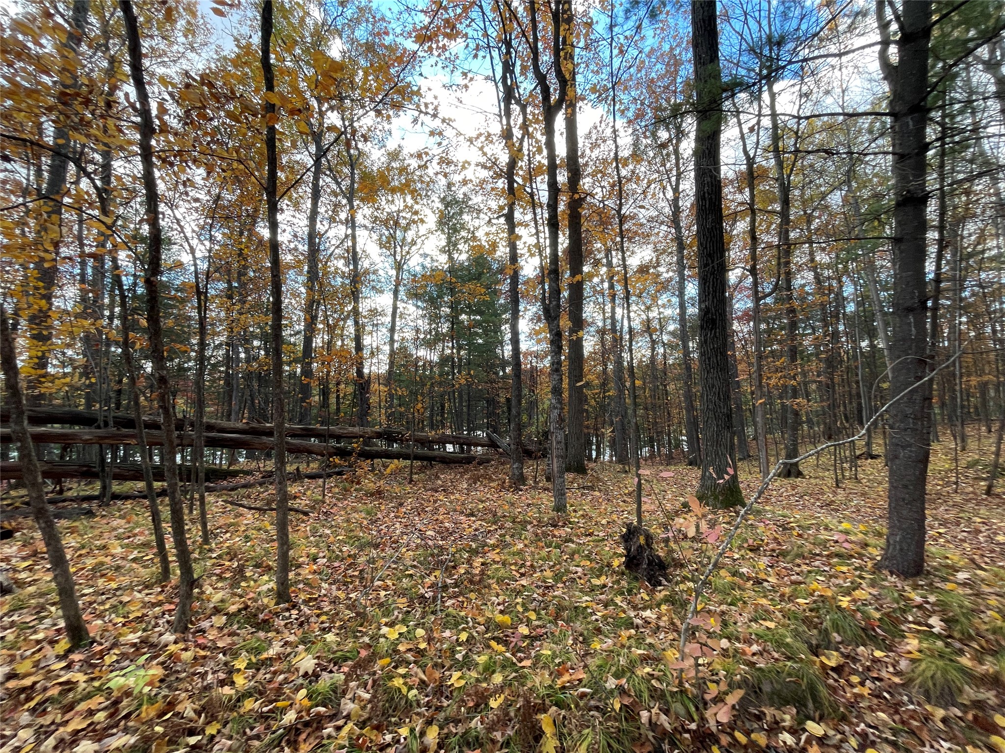 8 W Tanager Trail Hayward WI 54843 - Windigo 1600616 image17
