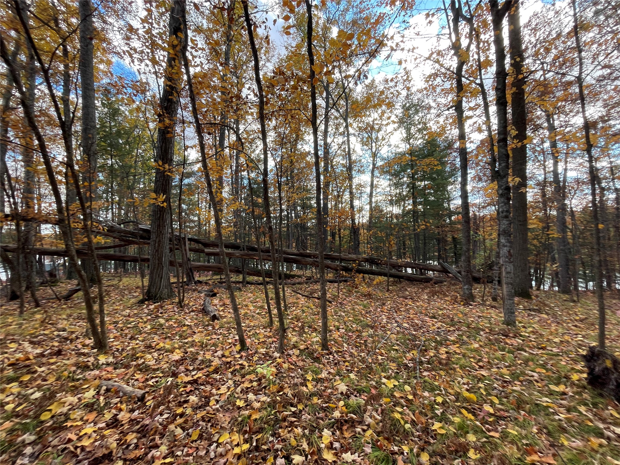 8 W Tanager Trail Hayward WI 54843 - Windigo 1600616 image18