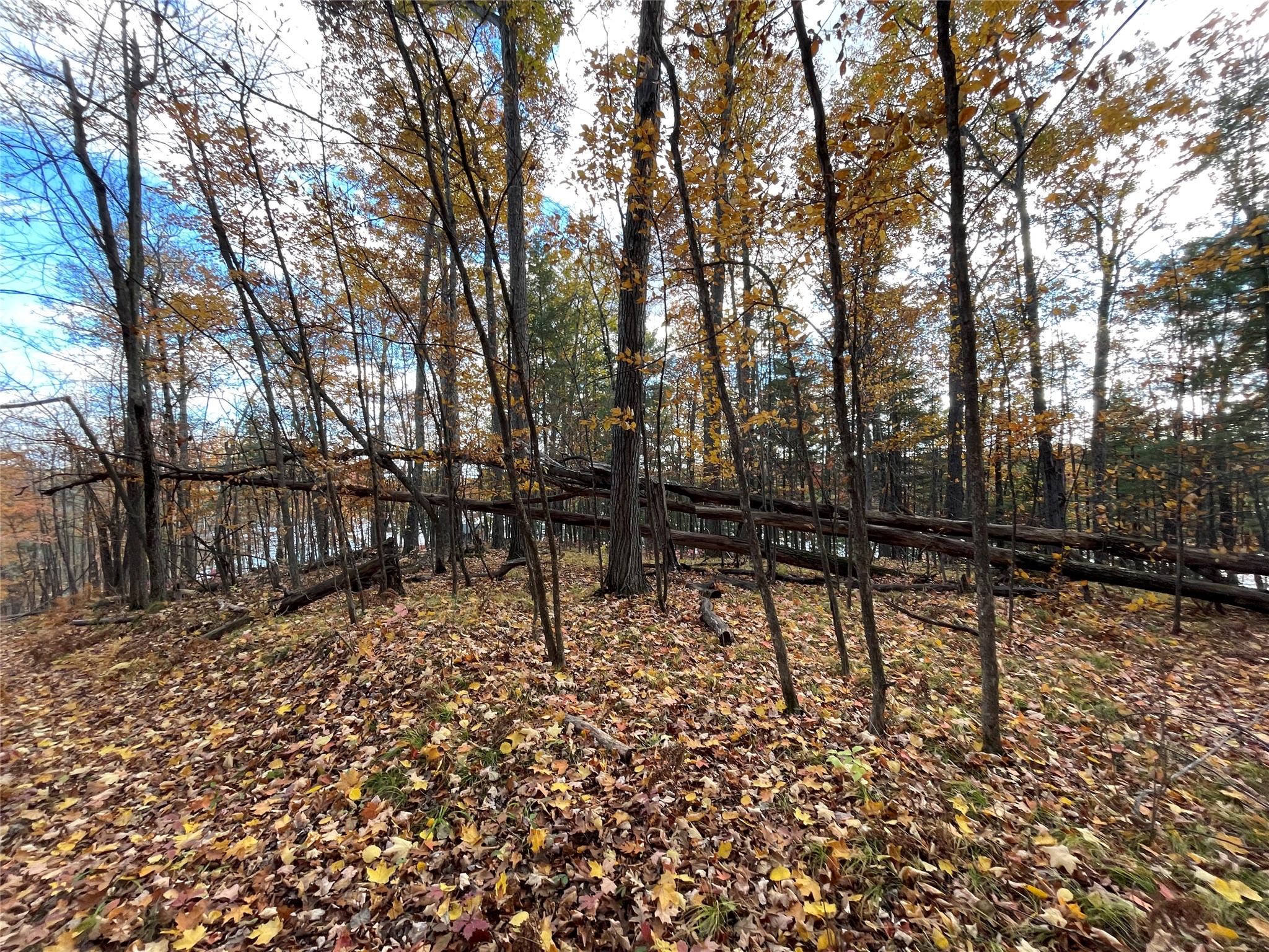 8 W Tanager Trail Hayward WI 54843 - Windigo 1600616 image19