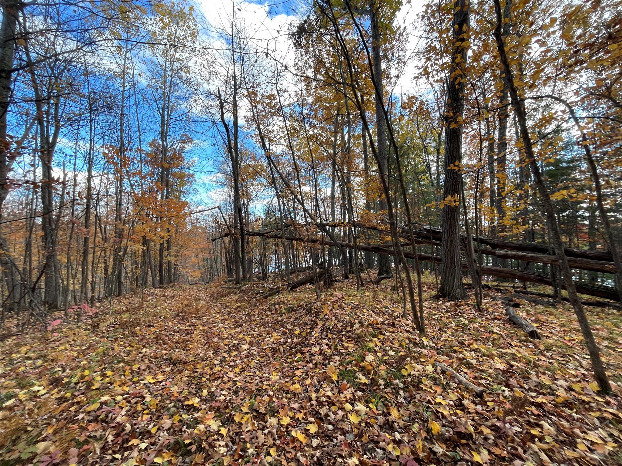 8 W Tanager Trail Hayward WI 54843 - Windigo 1600616 image20