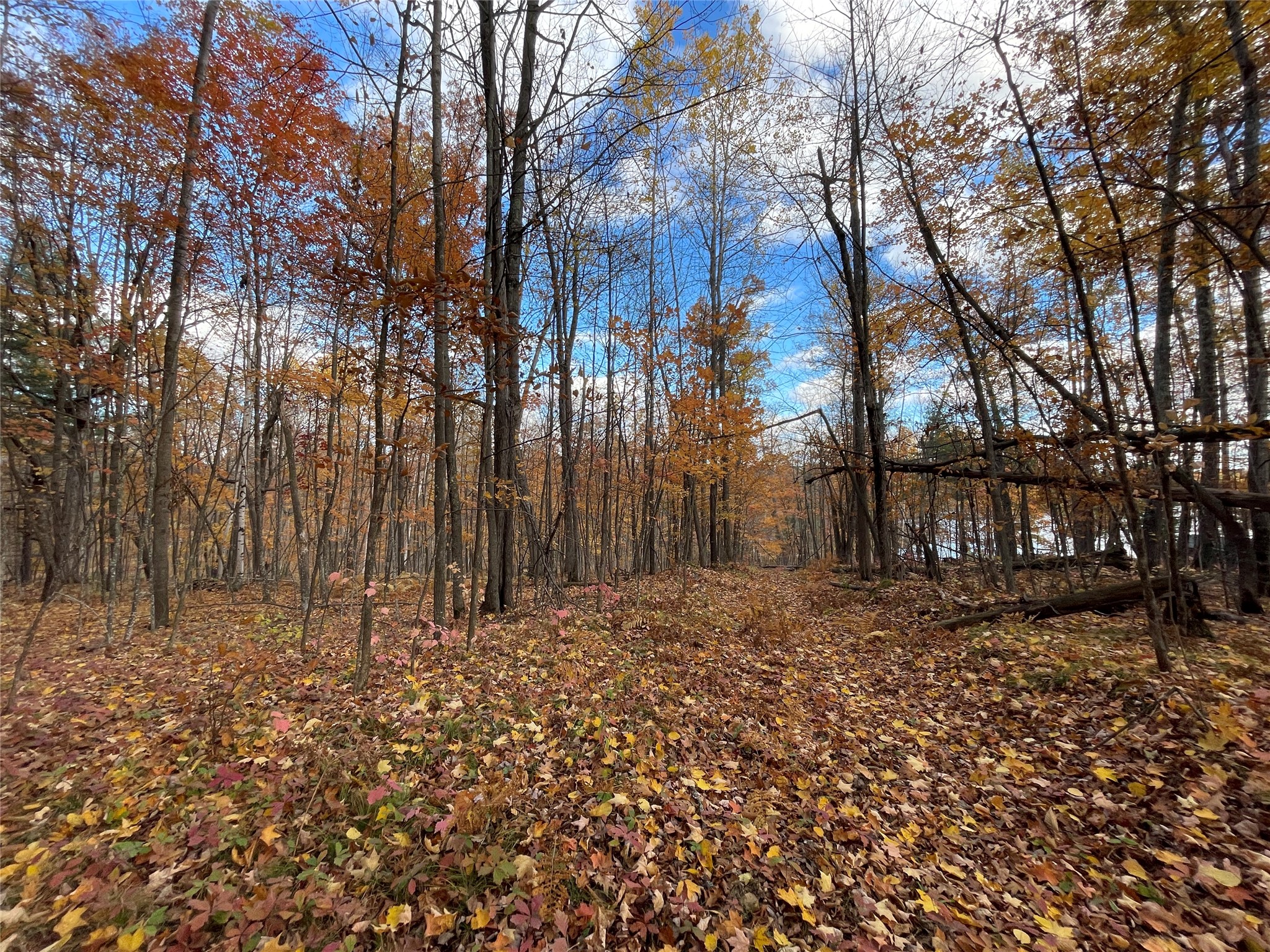 8 W Tanager Trail Hayward WI 54843 - Windigo 1600616 image21
