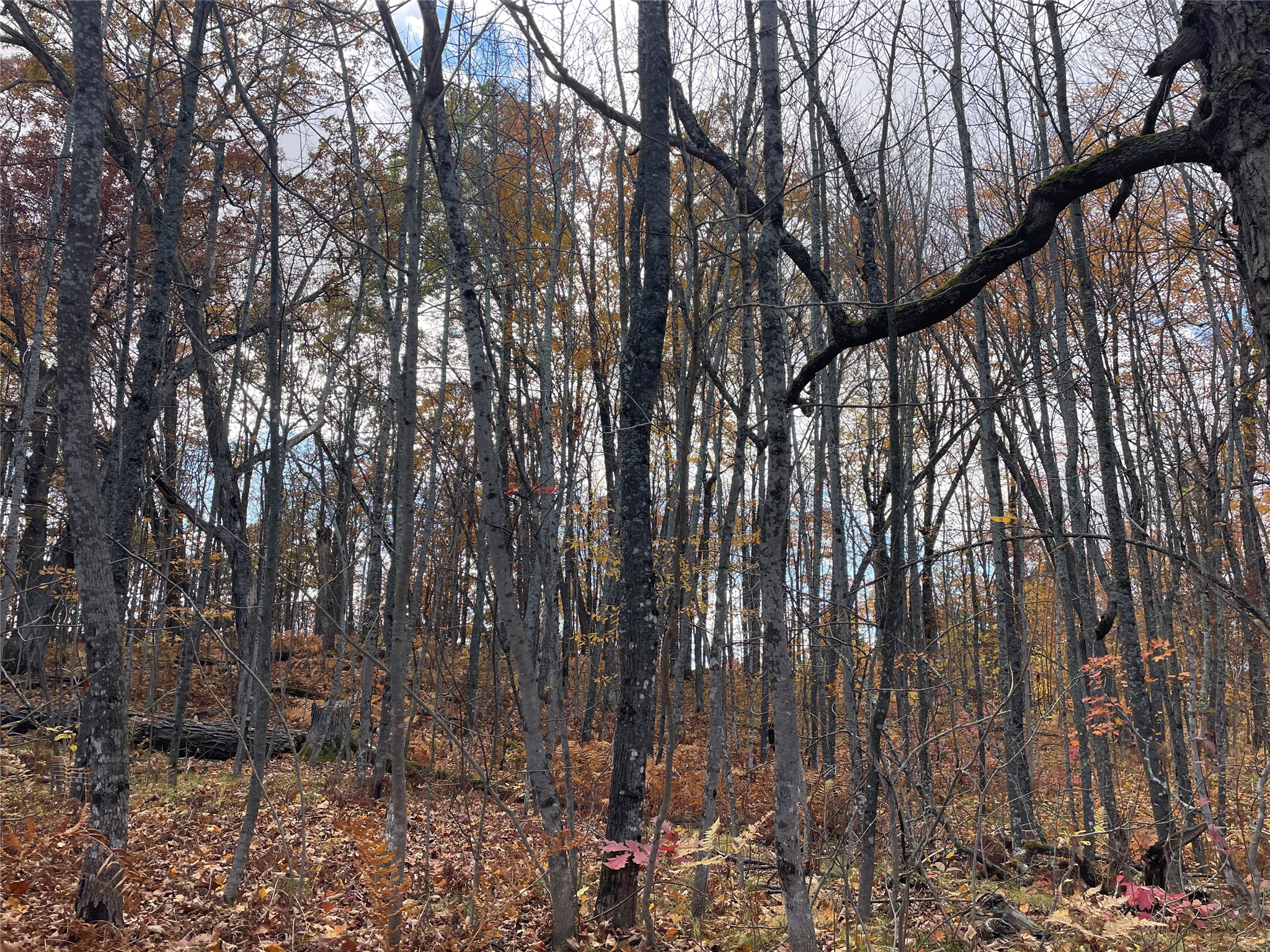 8 W Tanager Trail Hayward WI 54843 - Windigo 1600616 image22