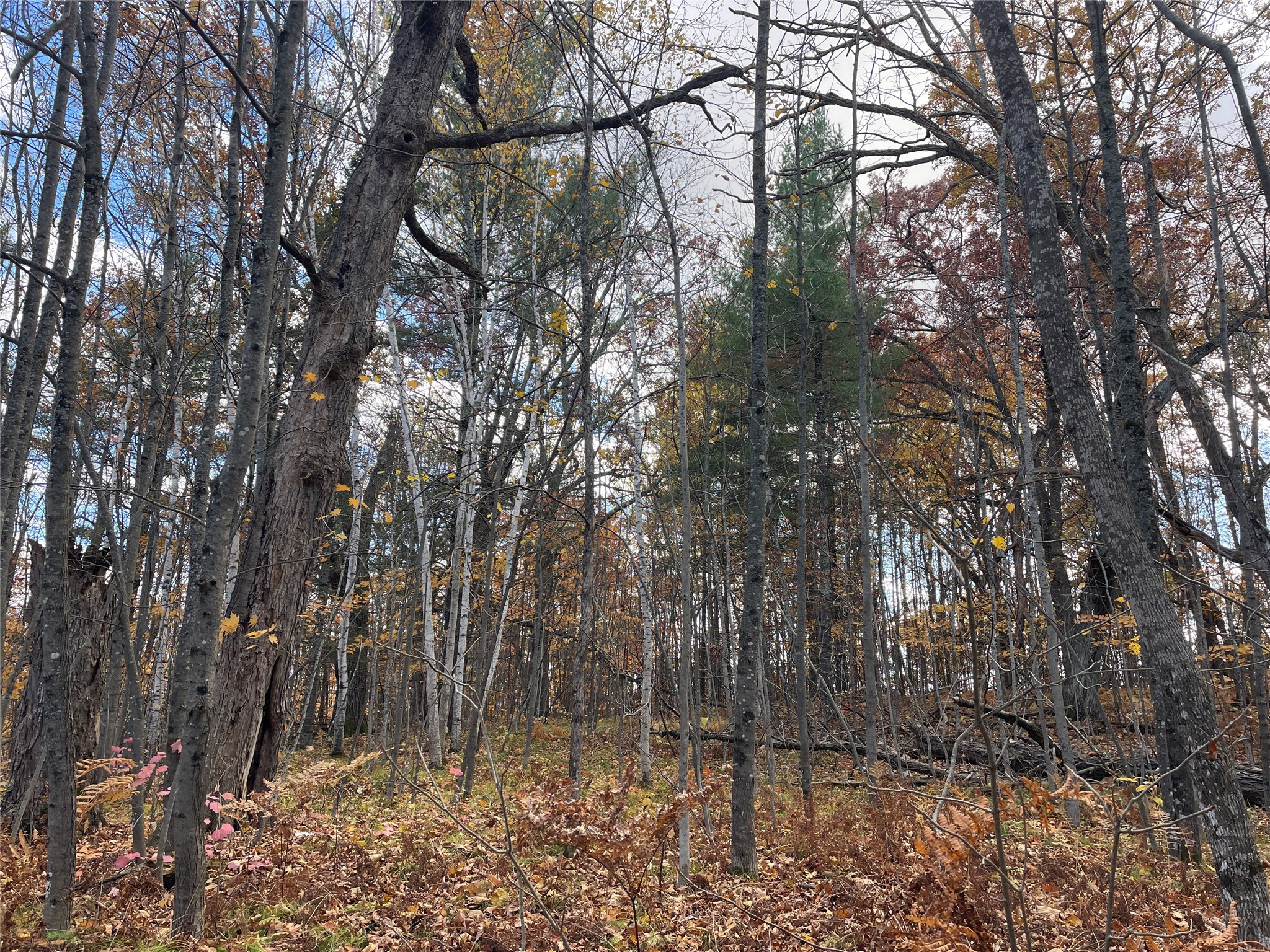 8 W Tanager Trail Hayward WI 54843 - Windigo 1600616 image23
