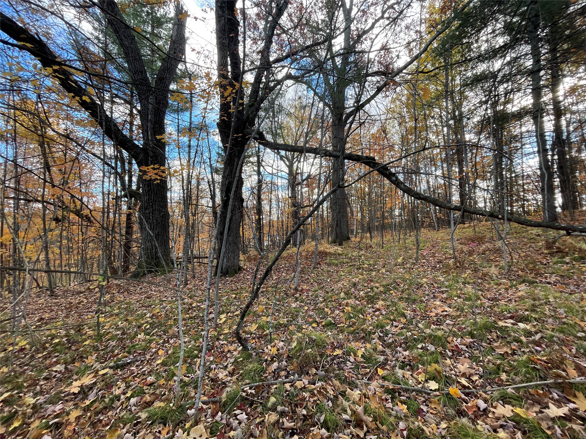 8 W Tanager Trail Hayward WI 54843 - Windigo 1600616 image26