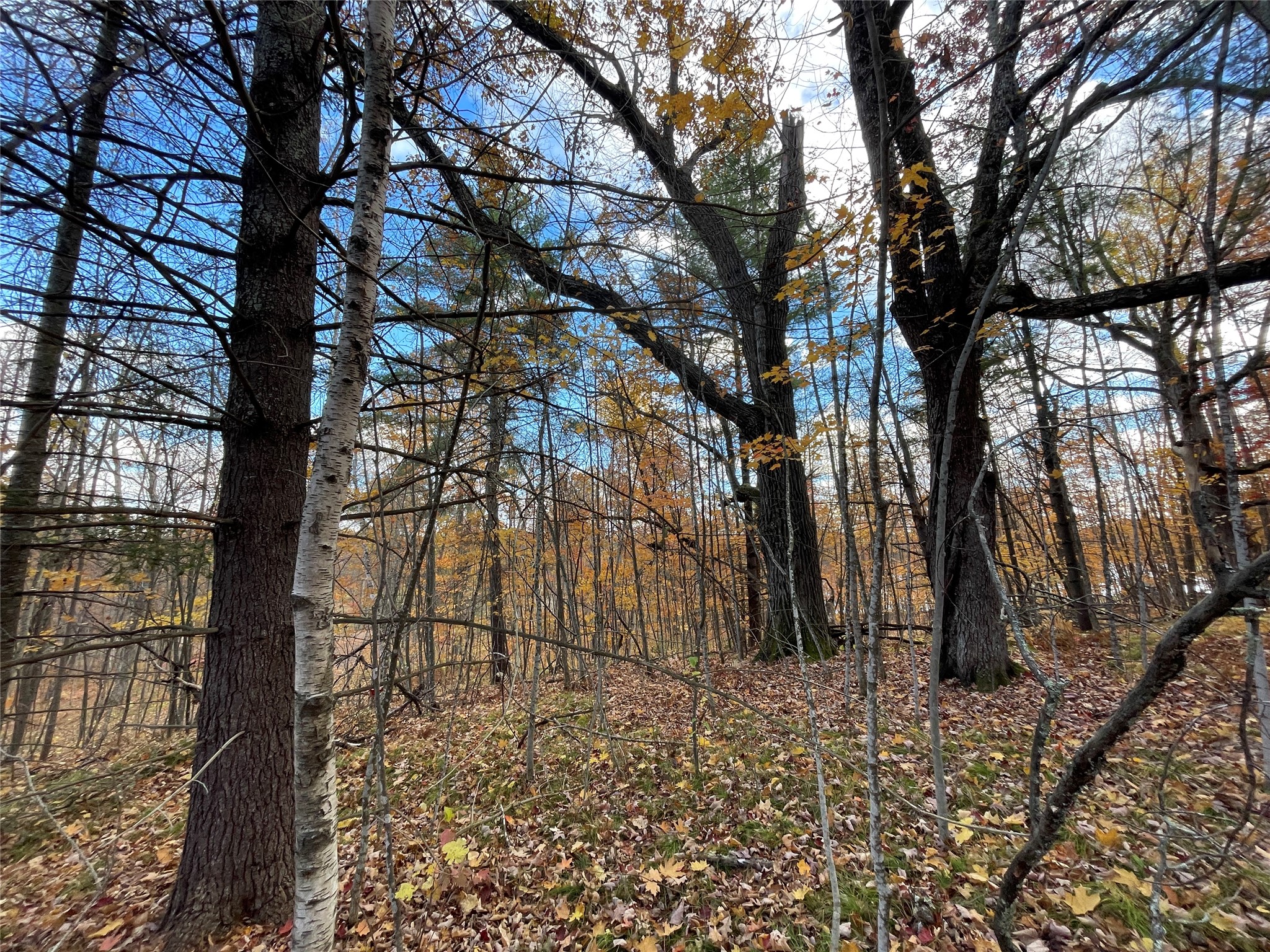8 W Tanager Trail Hayward WI 54843 - Windigo 1600616 image4