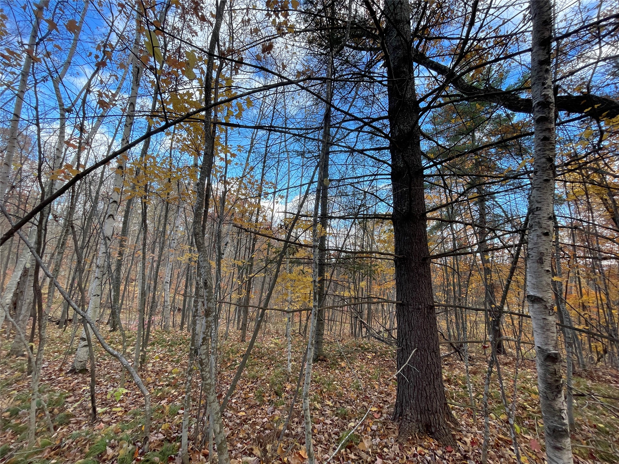 8 W Tanager Trail Hayward WI 54843 - Windigo 1600616 image5