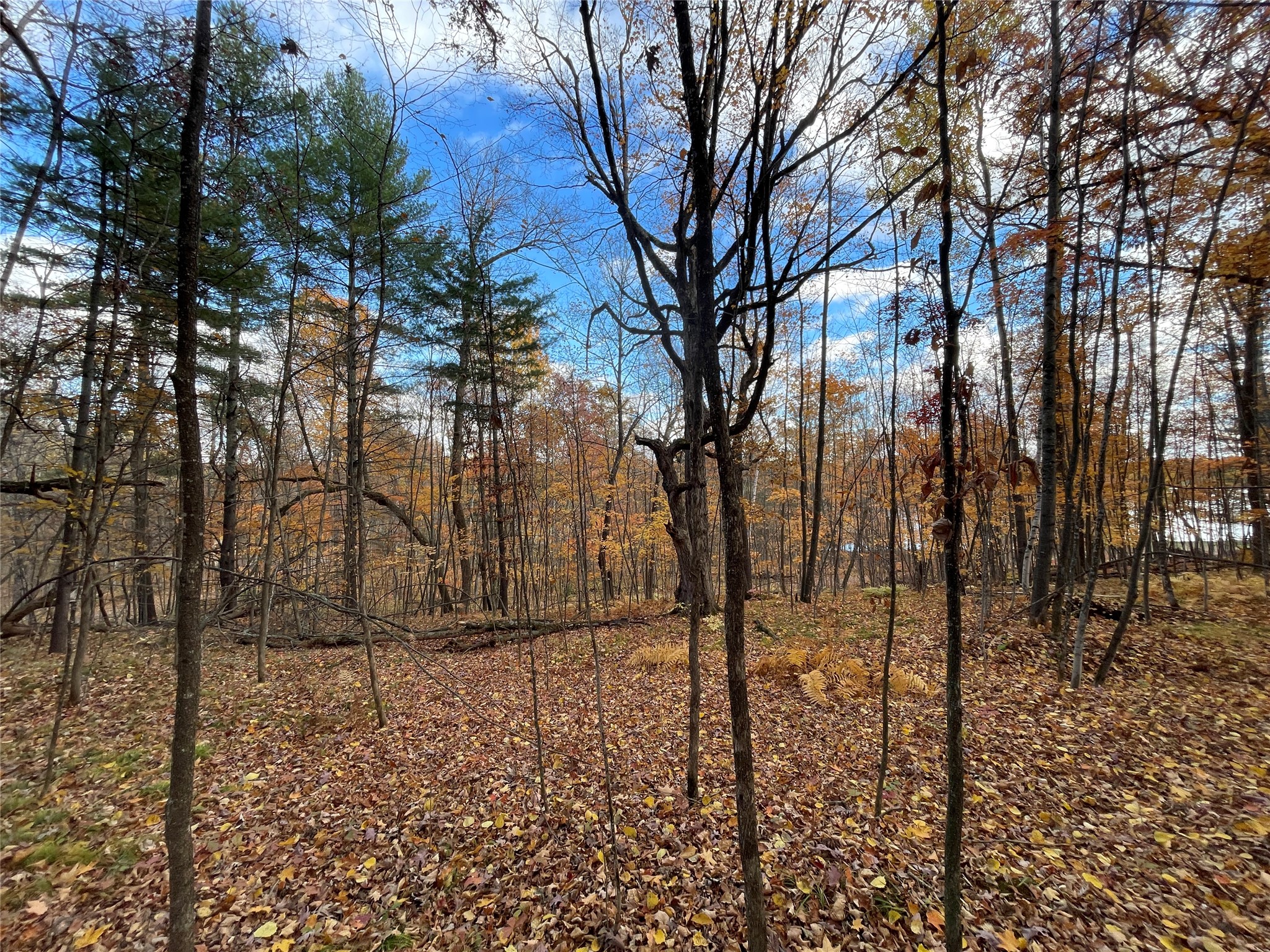 8 W Tanager Trail Hayward WI 54843 - Windigo 1600616 image6