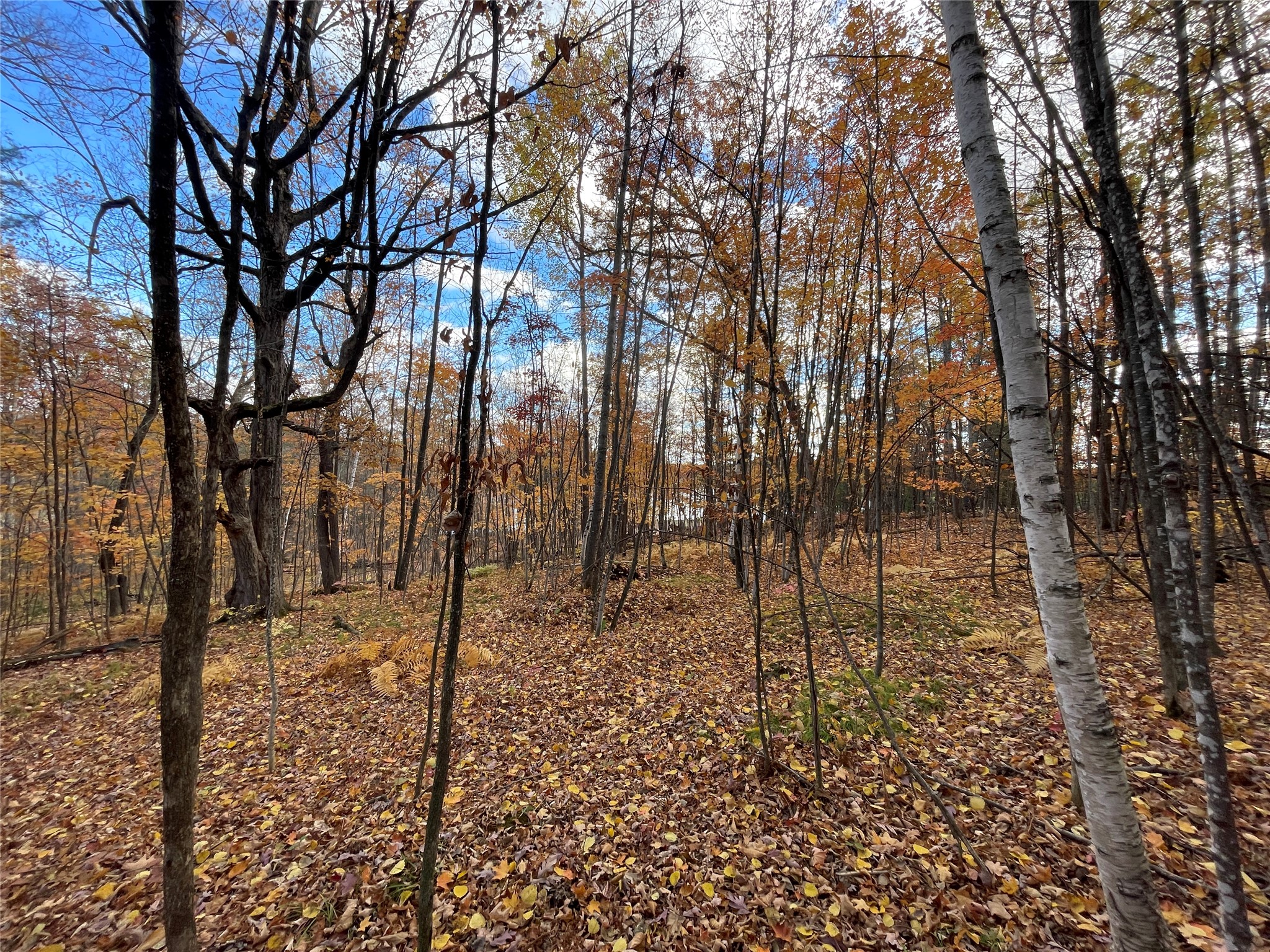 8 W Tanager Trail Hayward WI 54843 - Windigo 1600616 image7