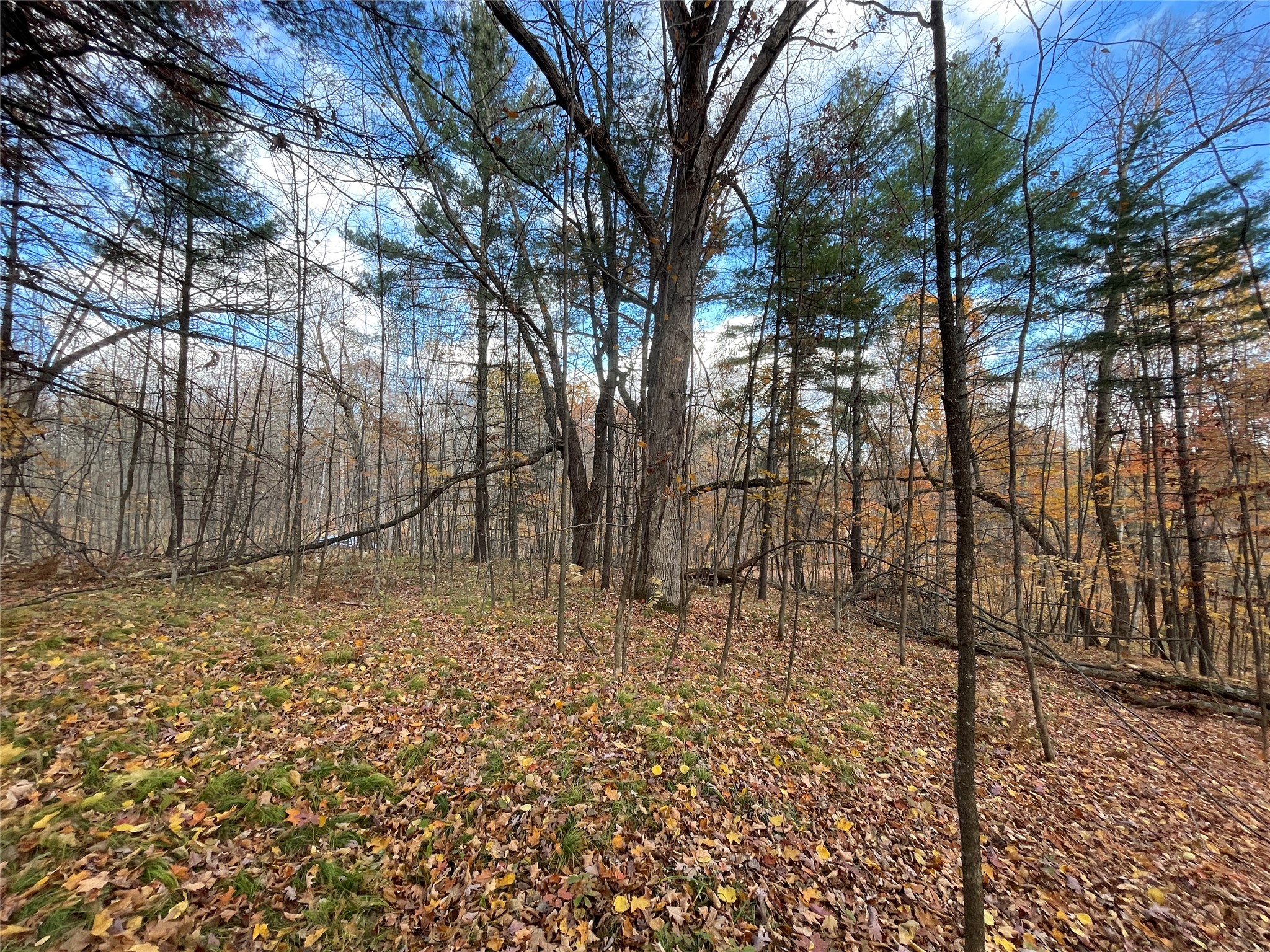 8 W Tanager Trail Hayward WI 54843 - Windigo 1600616 image8