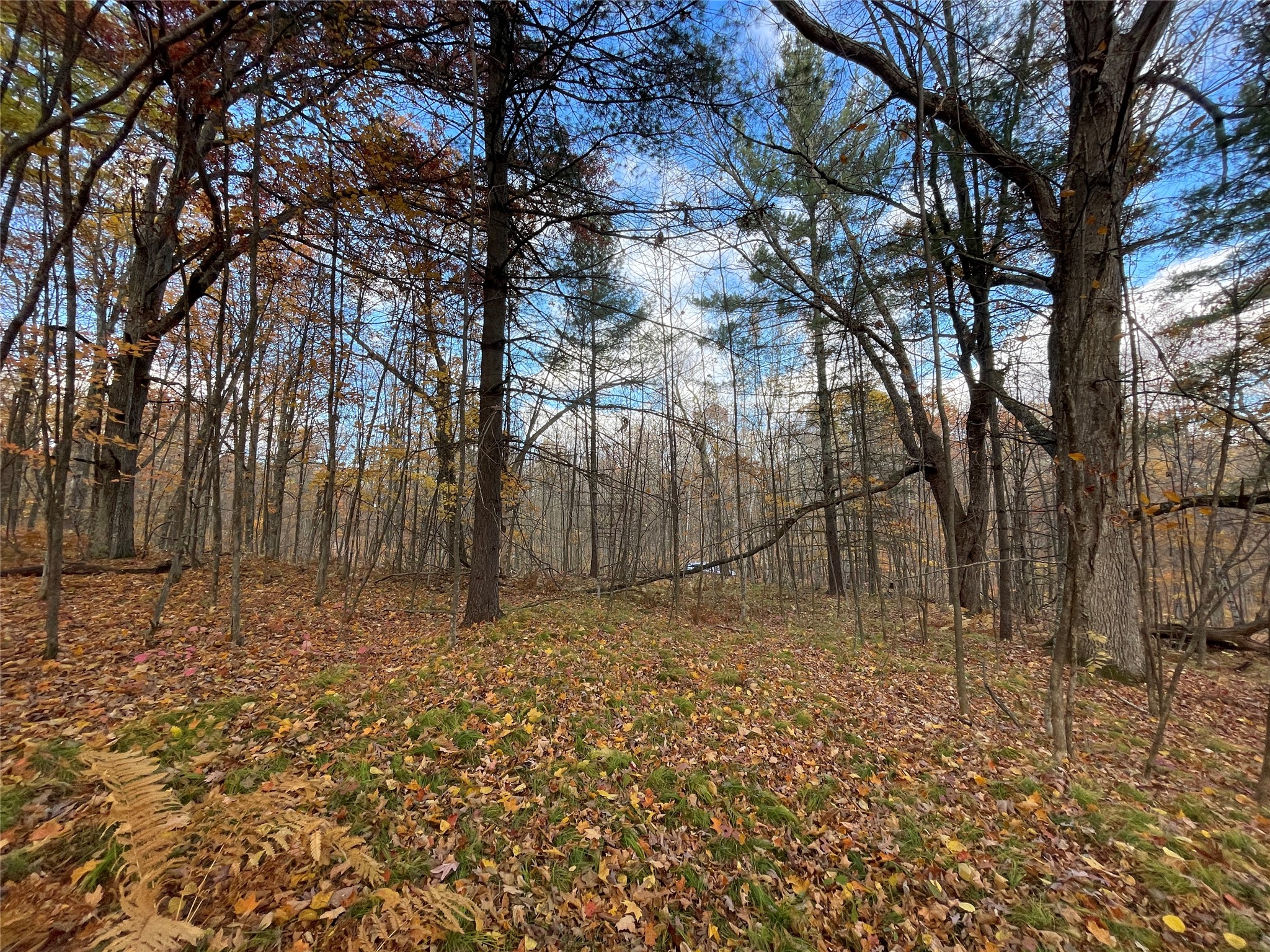 8 W Tanager Trail Hayward WI 54843 - Windigo 1600616 image9