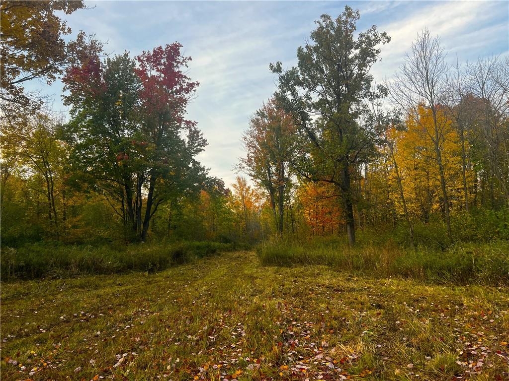 80 Acres Ducommun Road Ladysmith WI 54848 1576705 image1