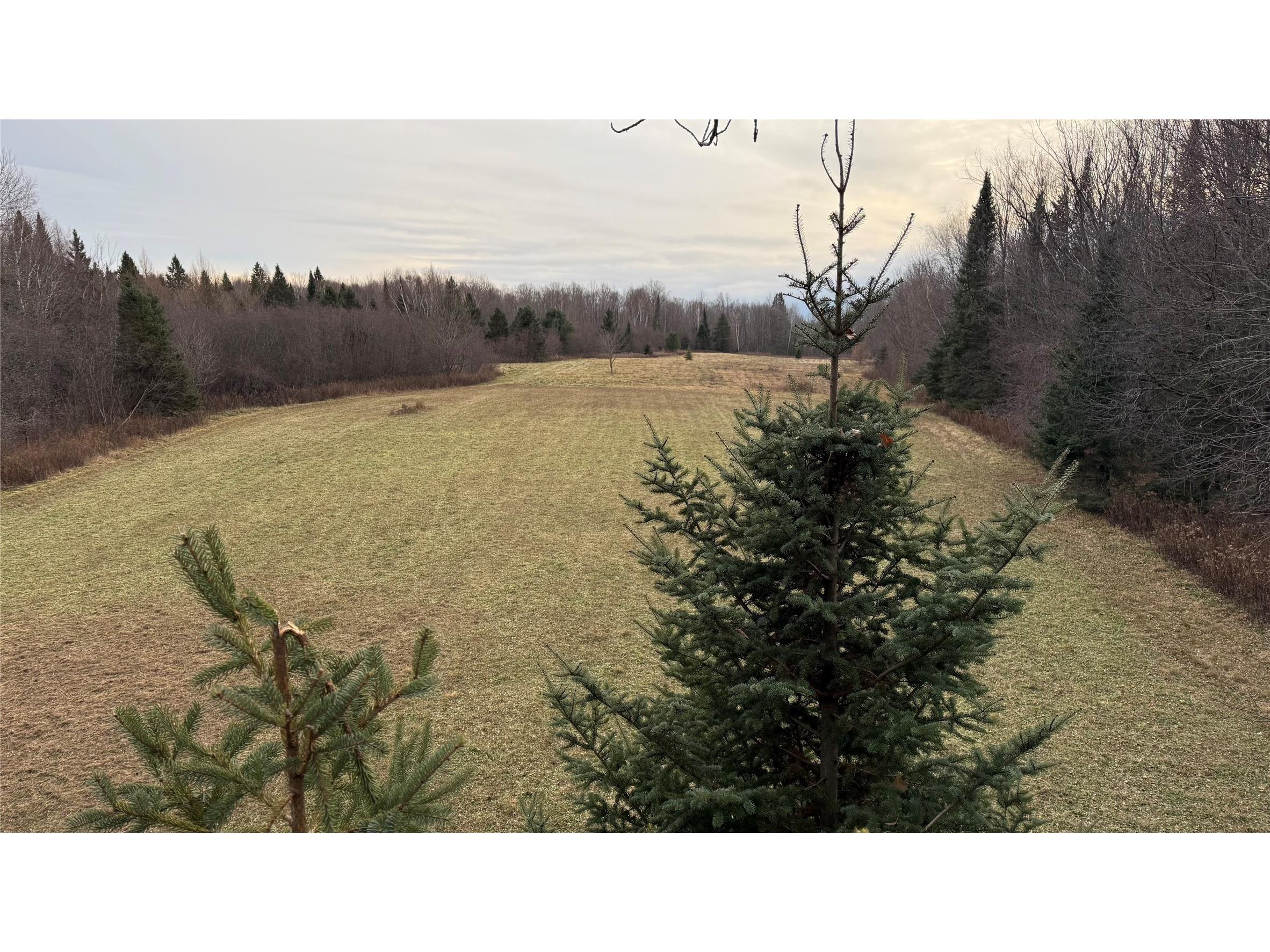 80+/- Acres Off South Park Road Butternut WI 54514 - Smith Creek 1600524 image1