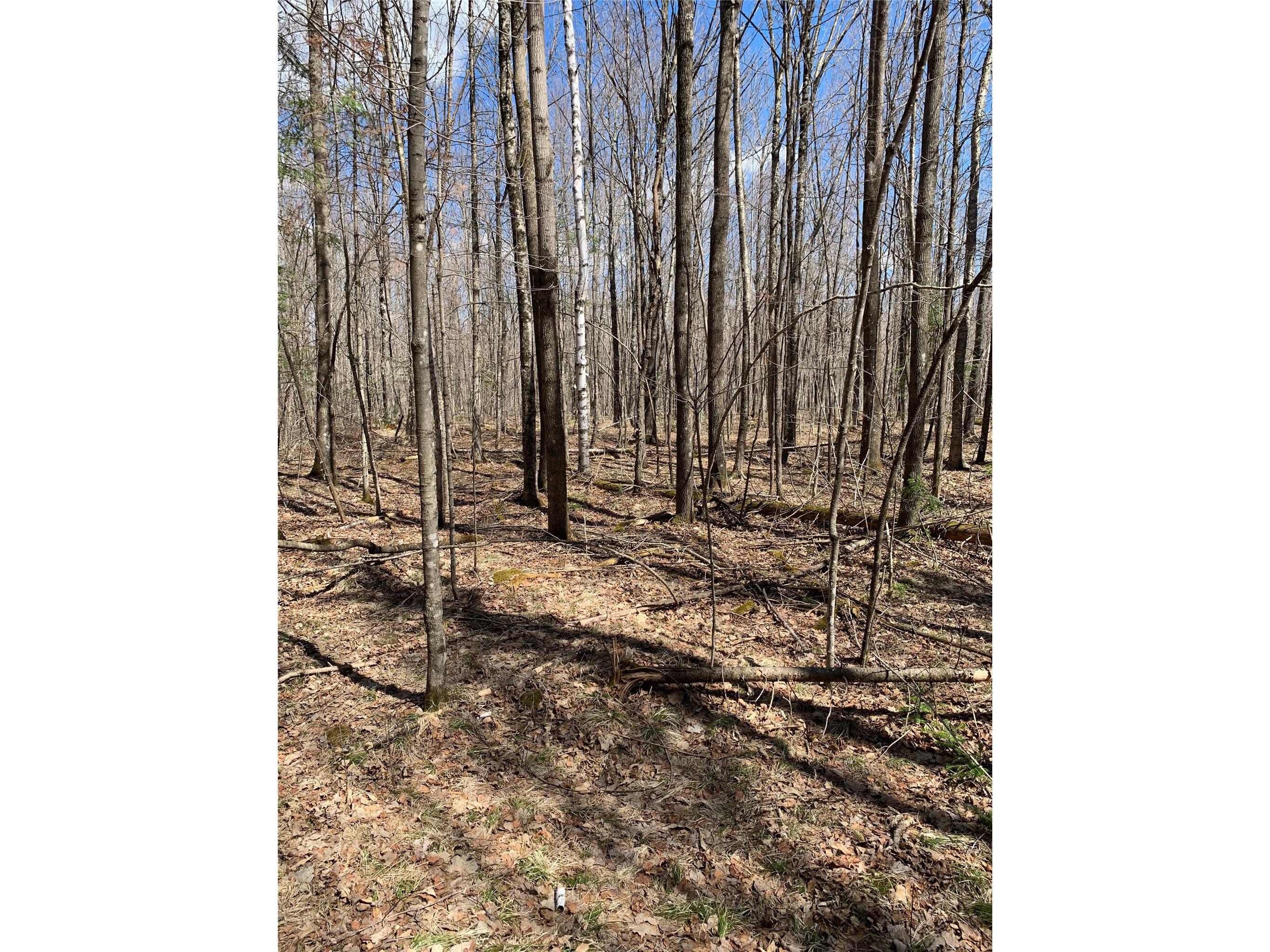 80+/- Acres Off South Park Road Butternut WI 54514 - Smith Creek 1600524 image12