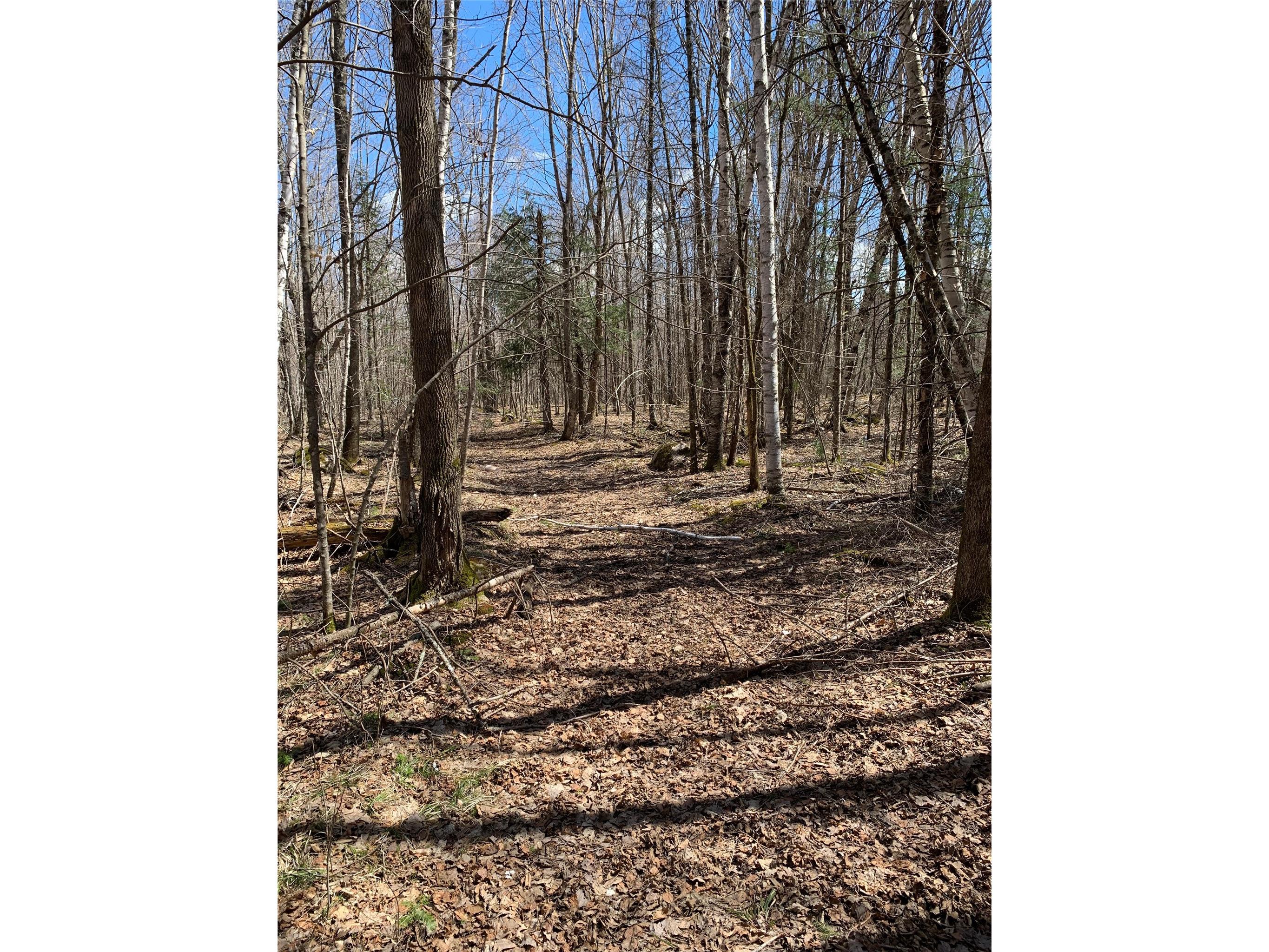 80+/- Acres Off South Park Road Butternut WI 54514 - Smith Creek 1600524 image13