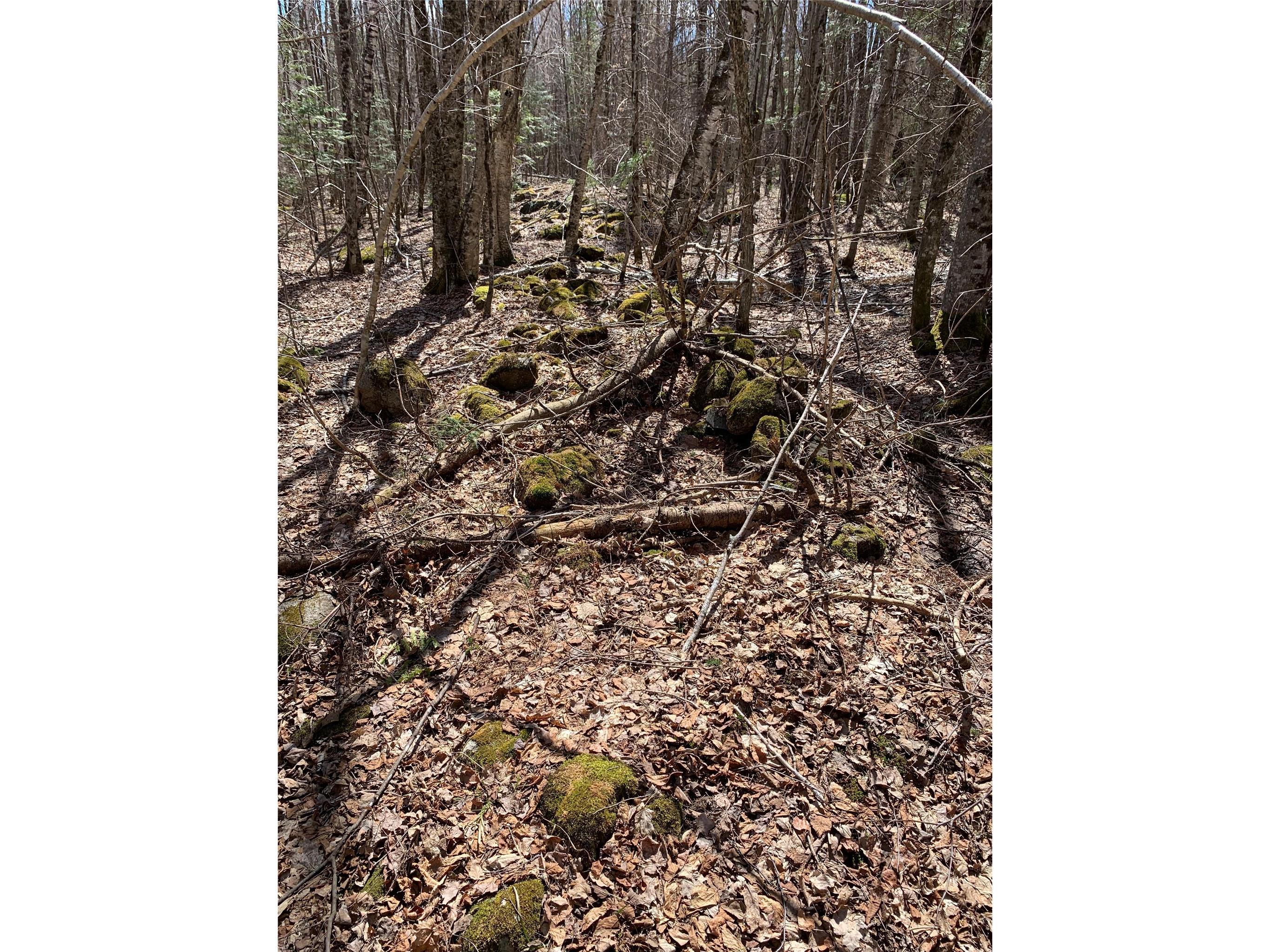 80+/- Acres Off South Park Road Butternut WI 54514 - Smith Creek 1600524 image15