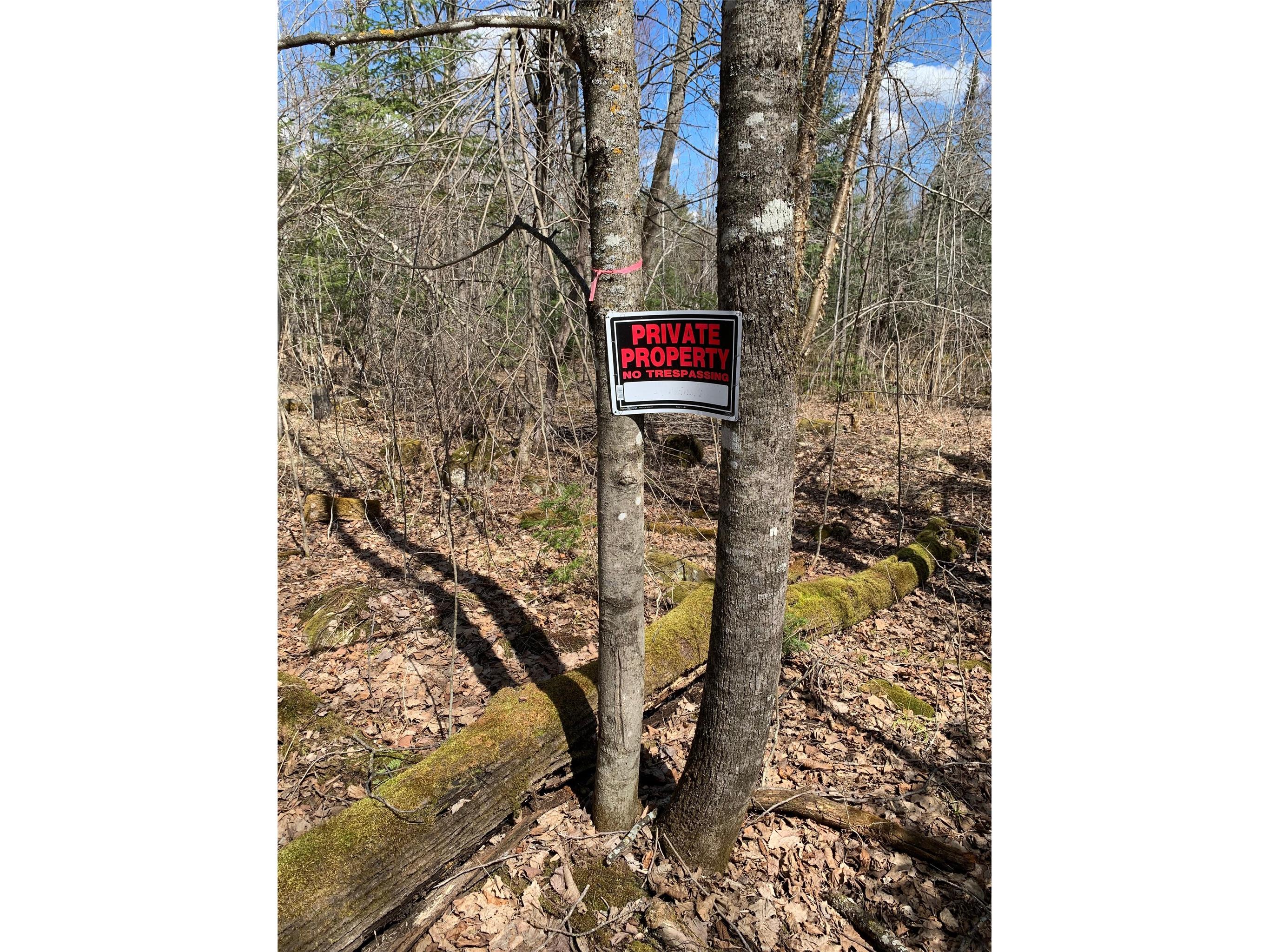 80+/- Acres Off South Park Road Butternut WI 54514 - Smith Creek 1600524 image16