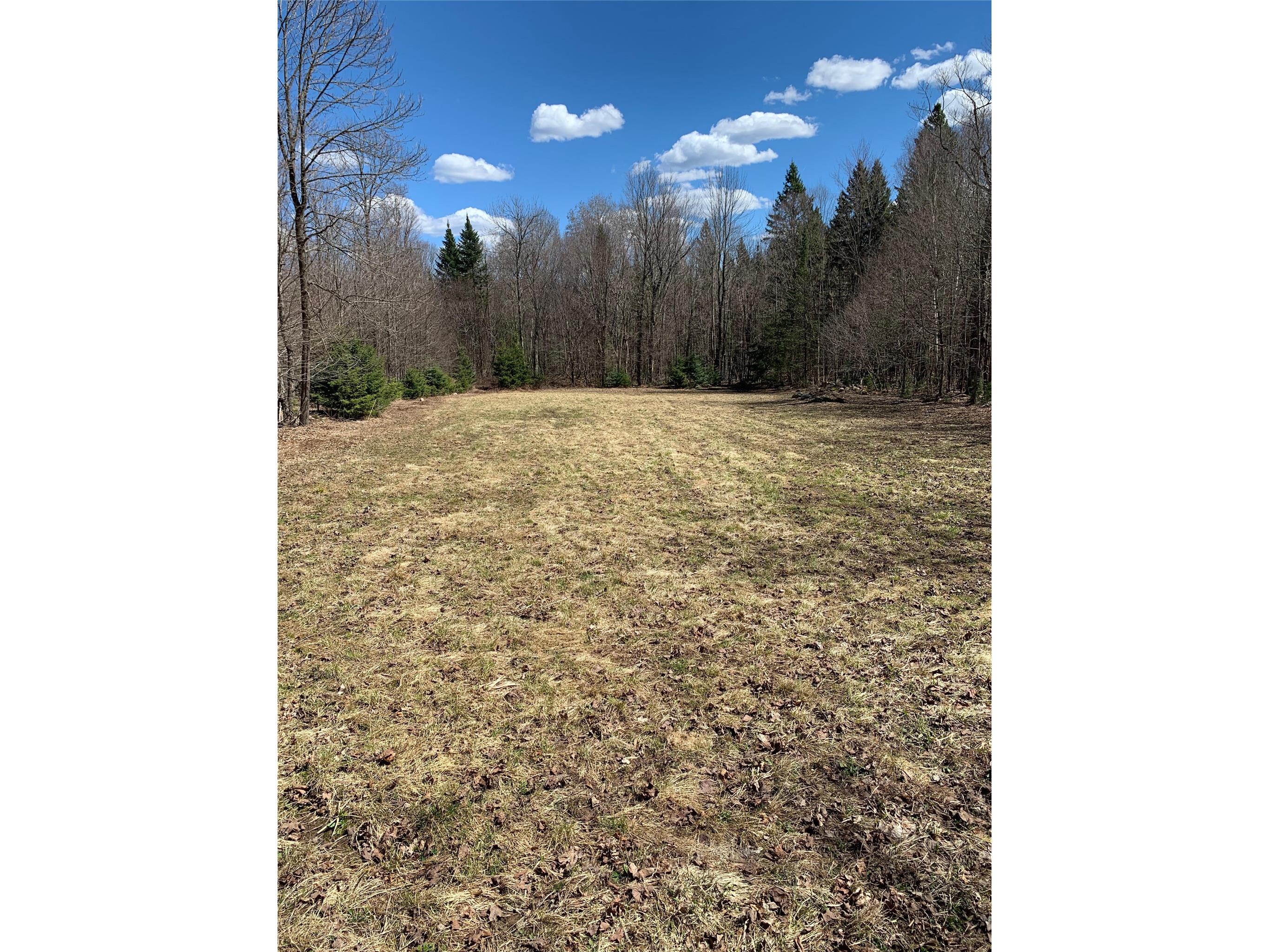 80+/- Acres Off South Park Road Butternut WI 54514 - Smith Creek 1600524 image17
