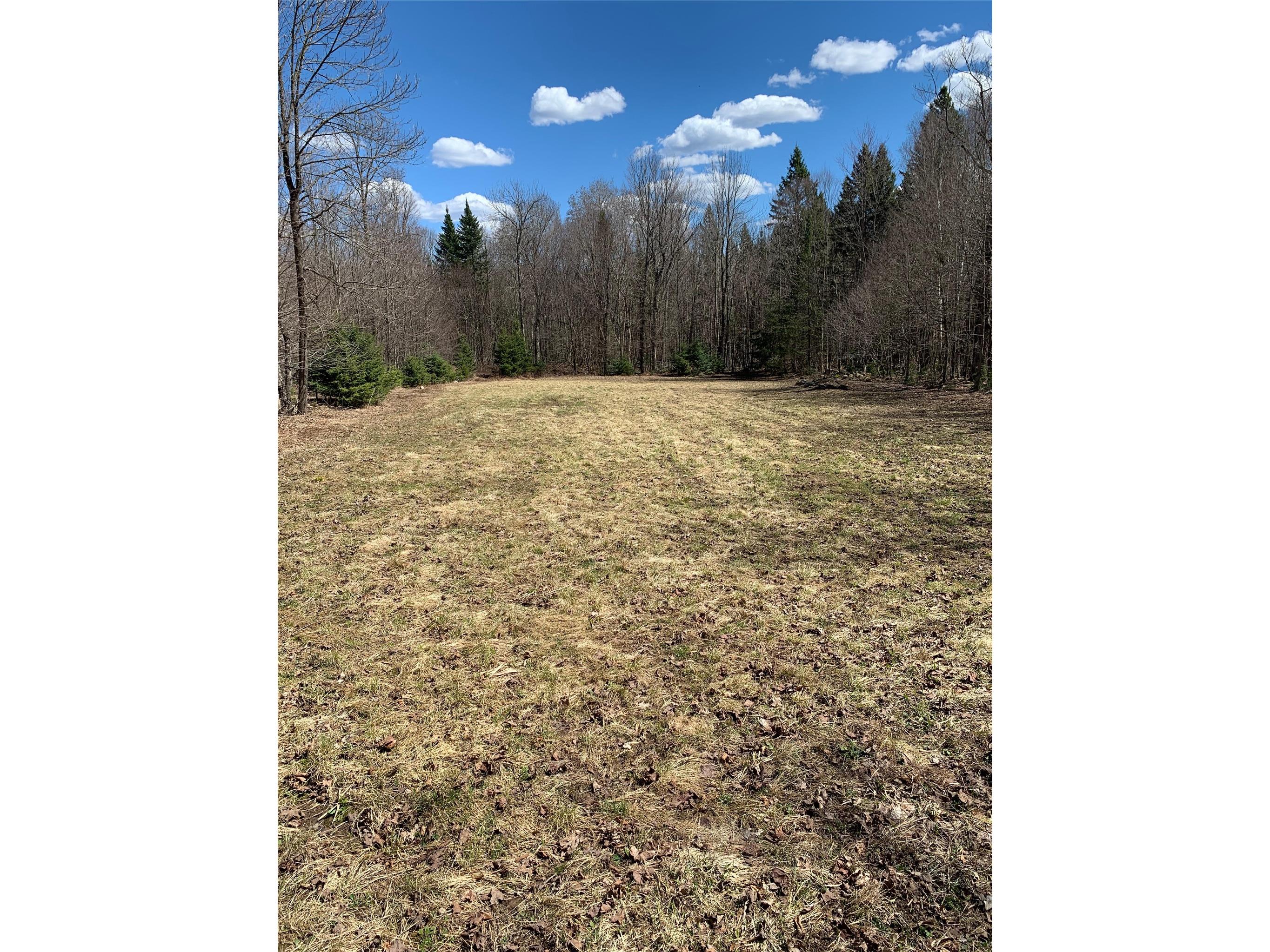 80+/- Acres Off South Park Road Butternut WI 54514 - Smith Creek 1600524 image18