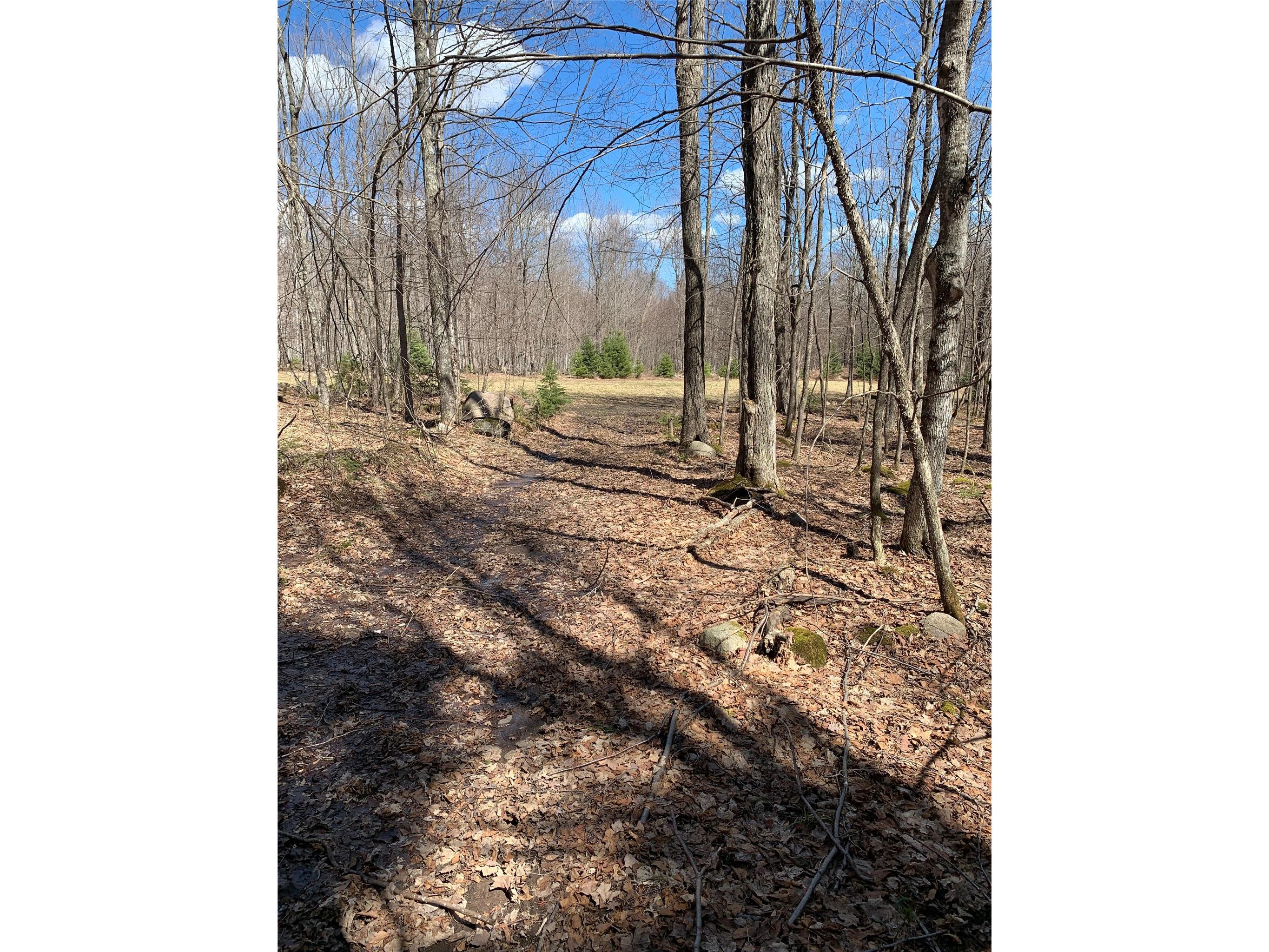 80+/- Acres Off South Park Road Butternut WI 54514 - Smith Creek 1600524 image19
