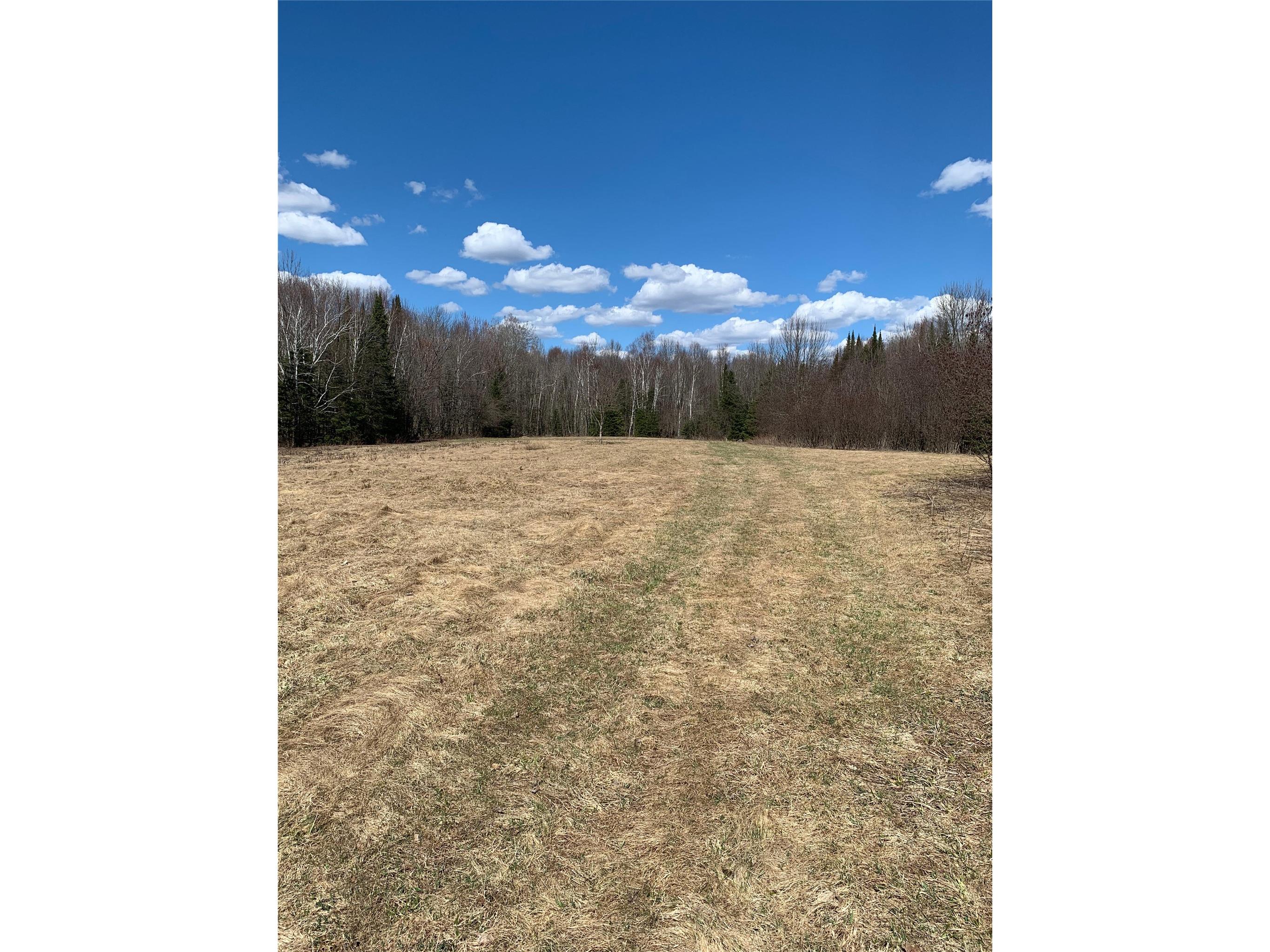 80+/- Acres Off South Park Road Butternut WI 54514 - Smith Creek 1600524 image20