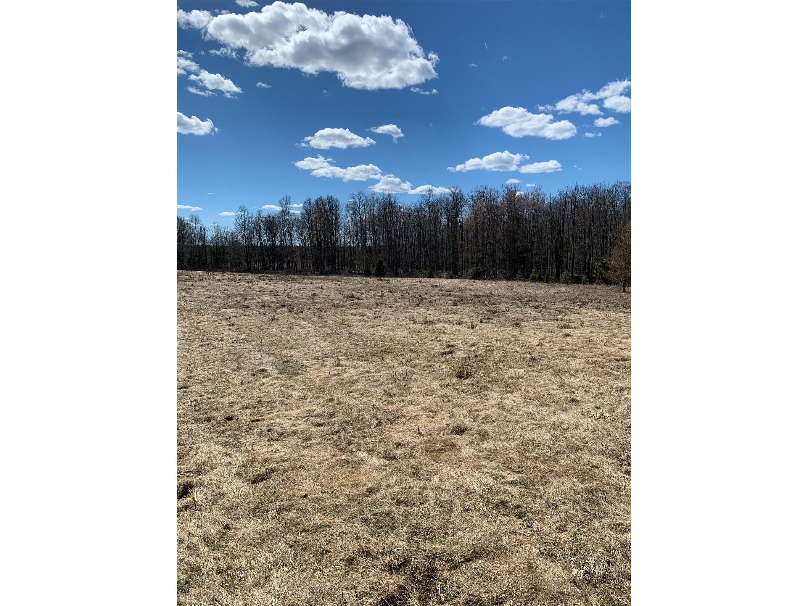 80+/- Acres Off South Park Road Butternut WI 54514 - Smith Creek 1600524 image21