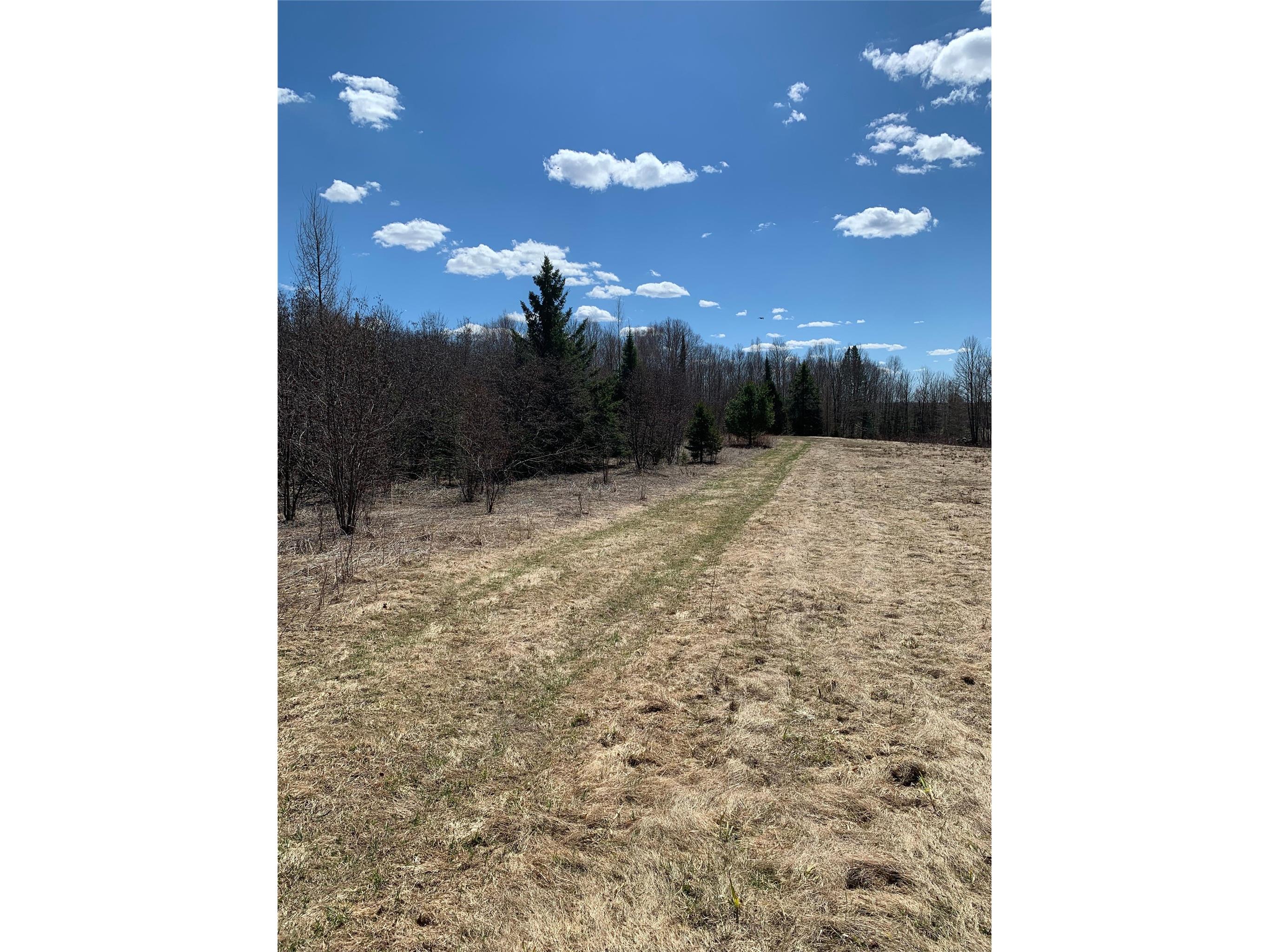80+/- Acres Off South Park Road Butternut WI 54514 - Smith Creek 1600524 image22