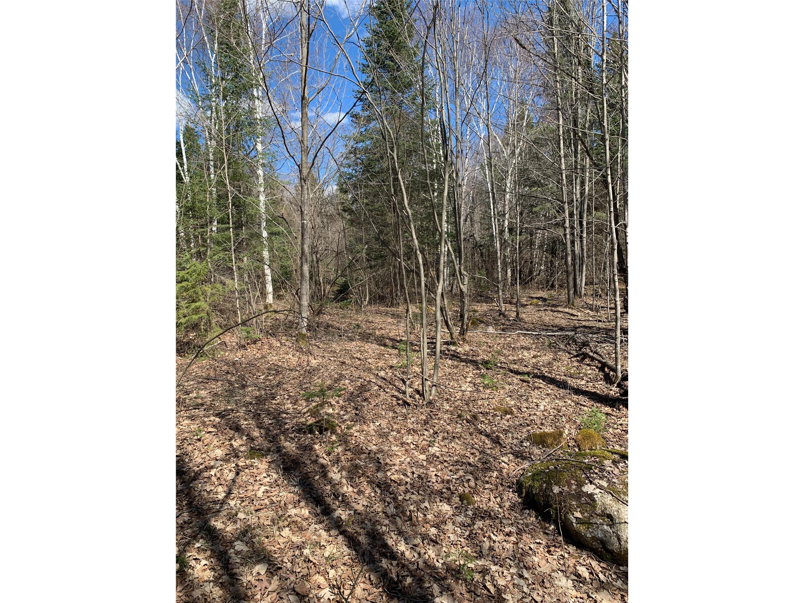 80+/- Acres Off South Park Road Butternut WI 54514 - Smith Creek 1600524 image23
