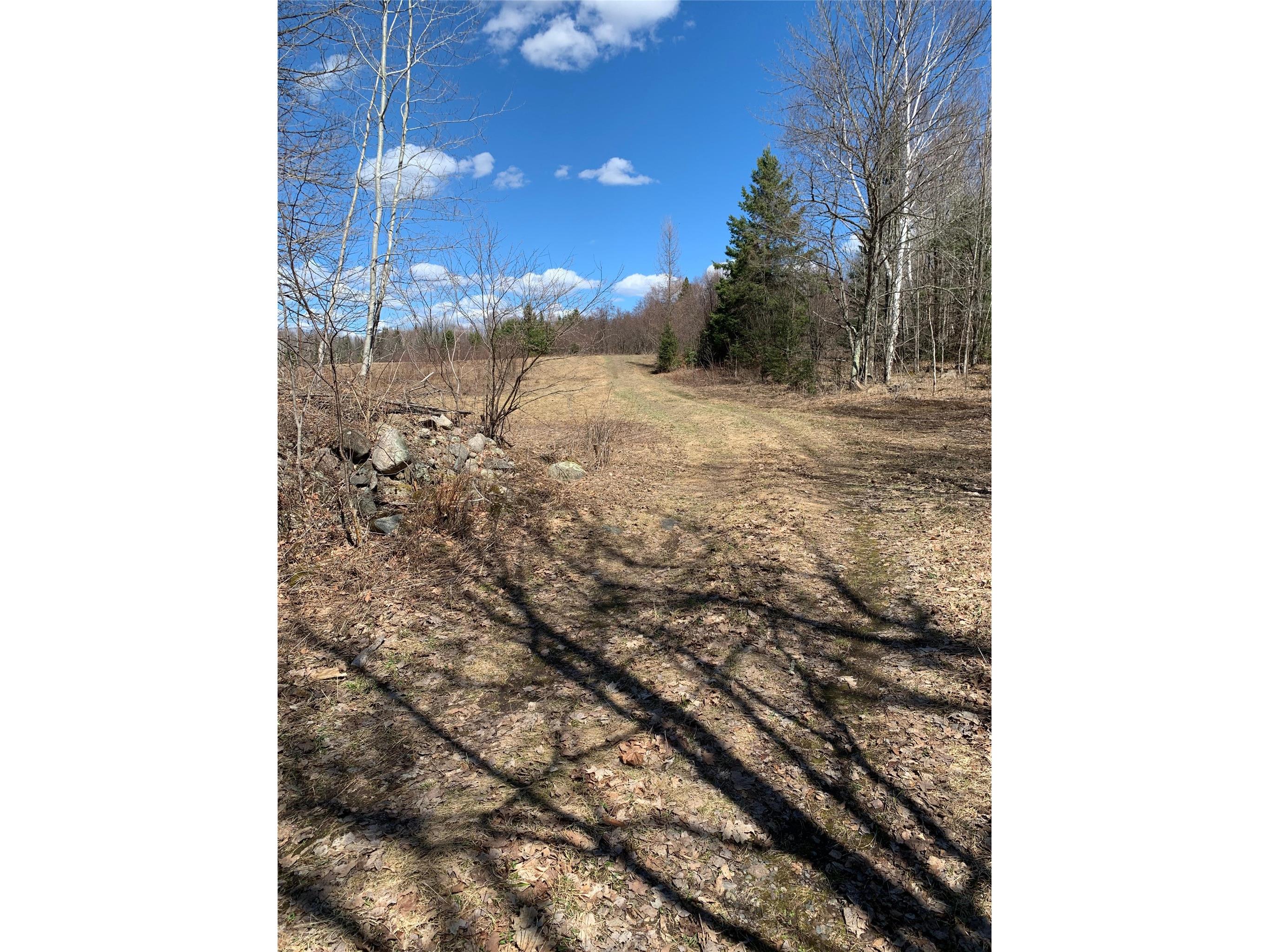 80+/- Acres Off South Park Road Butternut WI 54514 - Smith Creek 1600524 image24