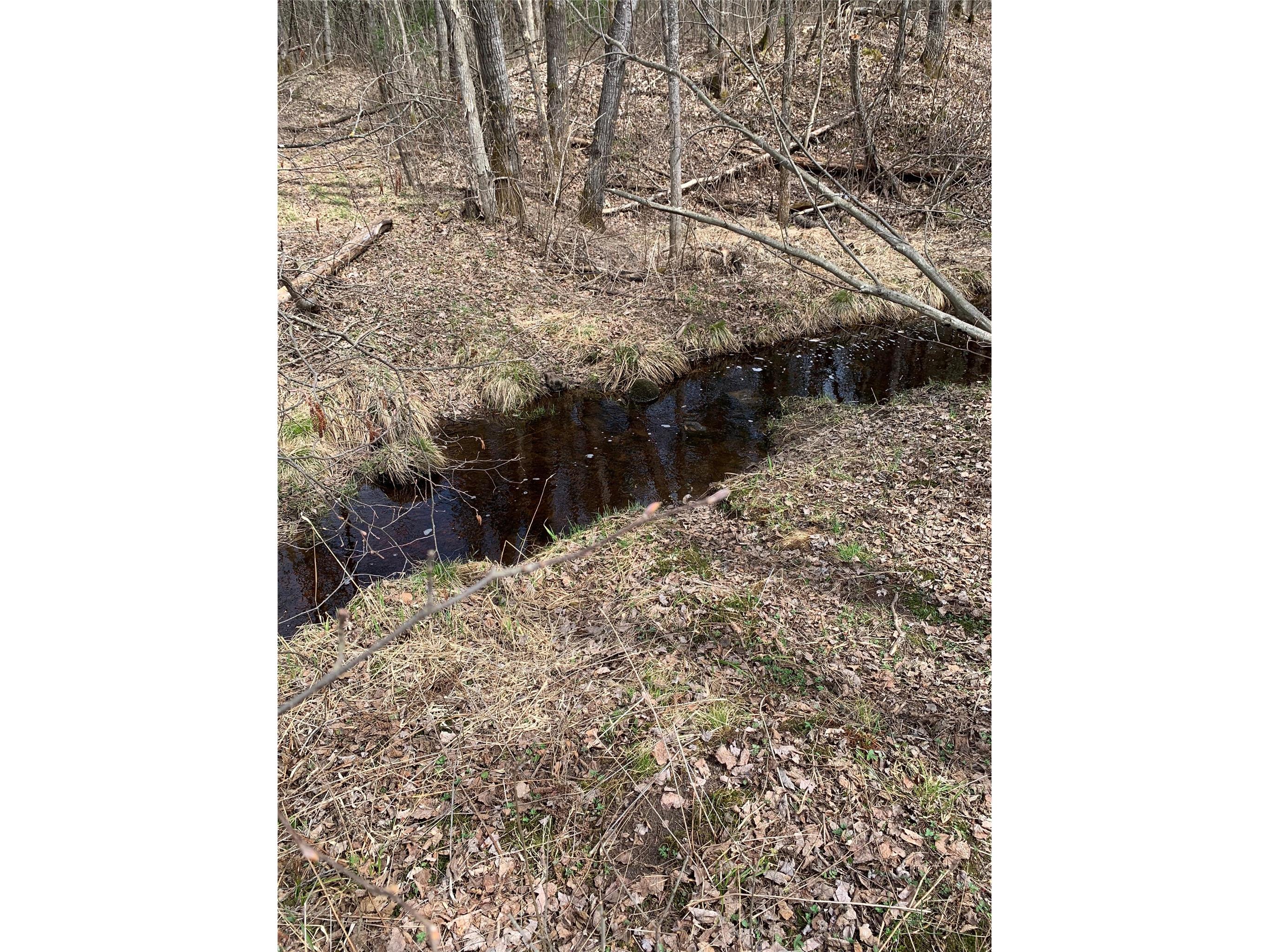 80+/- Acres Off South Park Road Butternut WI 54514 - Smith Creek 1600524 image25