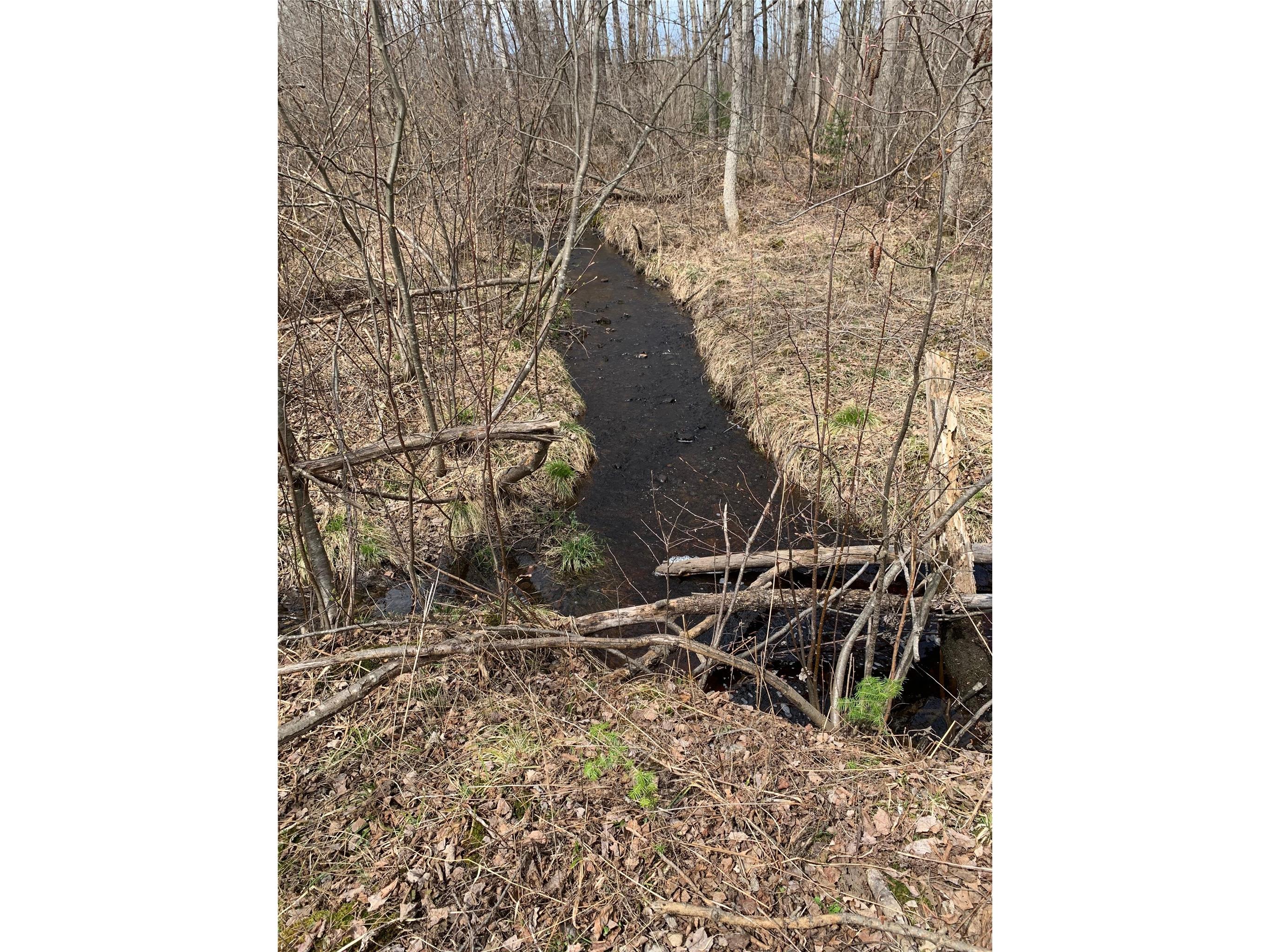 80+/- Acres Off South Park Road Butternut WI 54514 - Smith Creek 1600524 image26