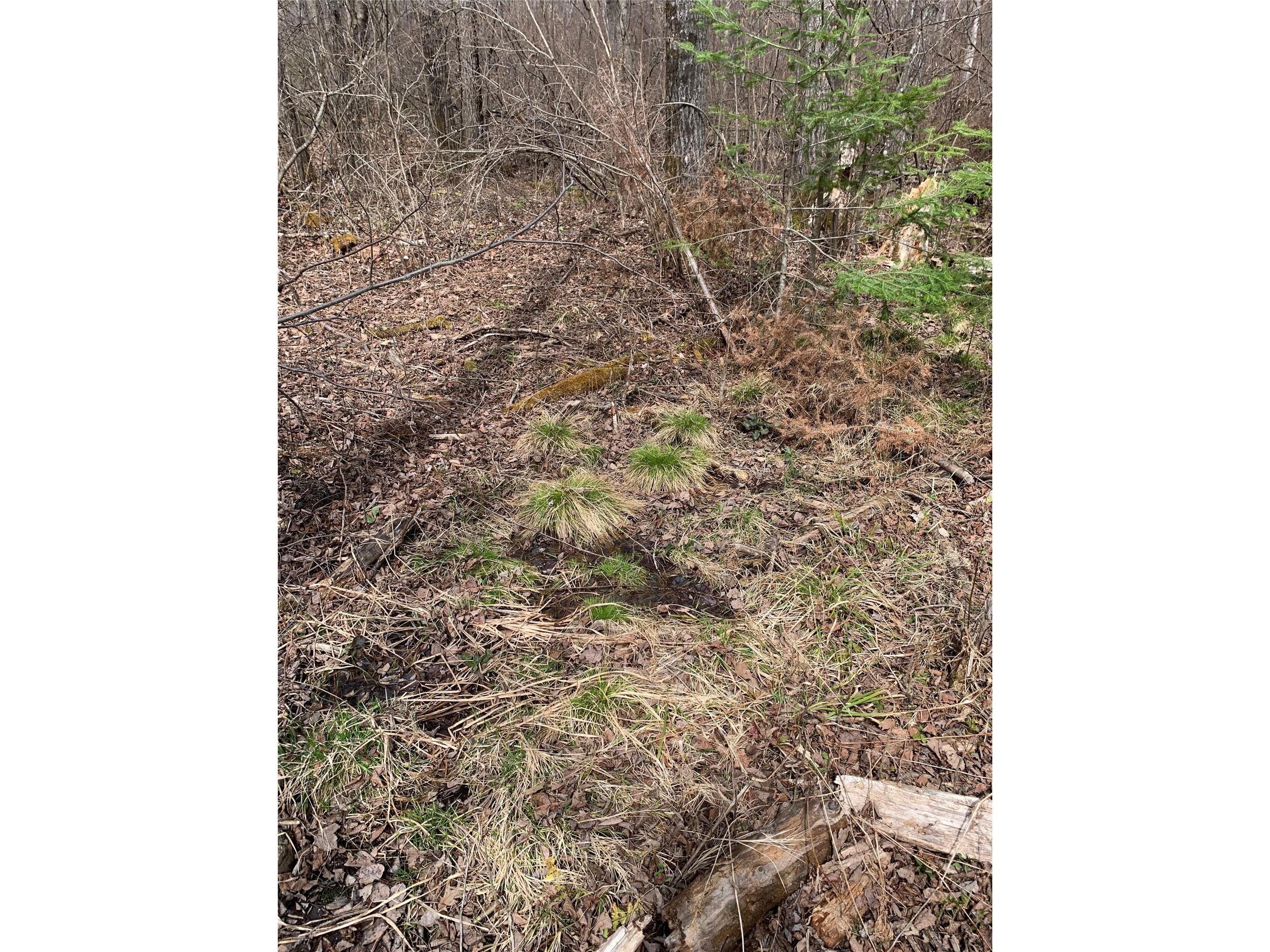 80+/- Acres Off South Park Road Butternut WI 54514 - Smith Creek 1600524 image27