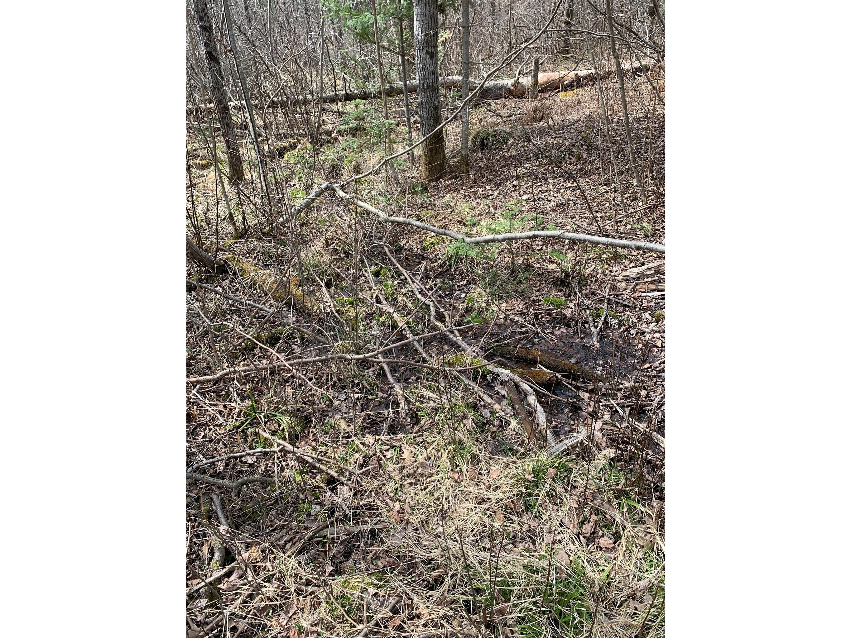 80+/- Acres Off South Park Road Butternut WI 54514 - Smith Creek 1600524 image28