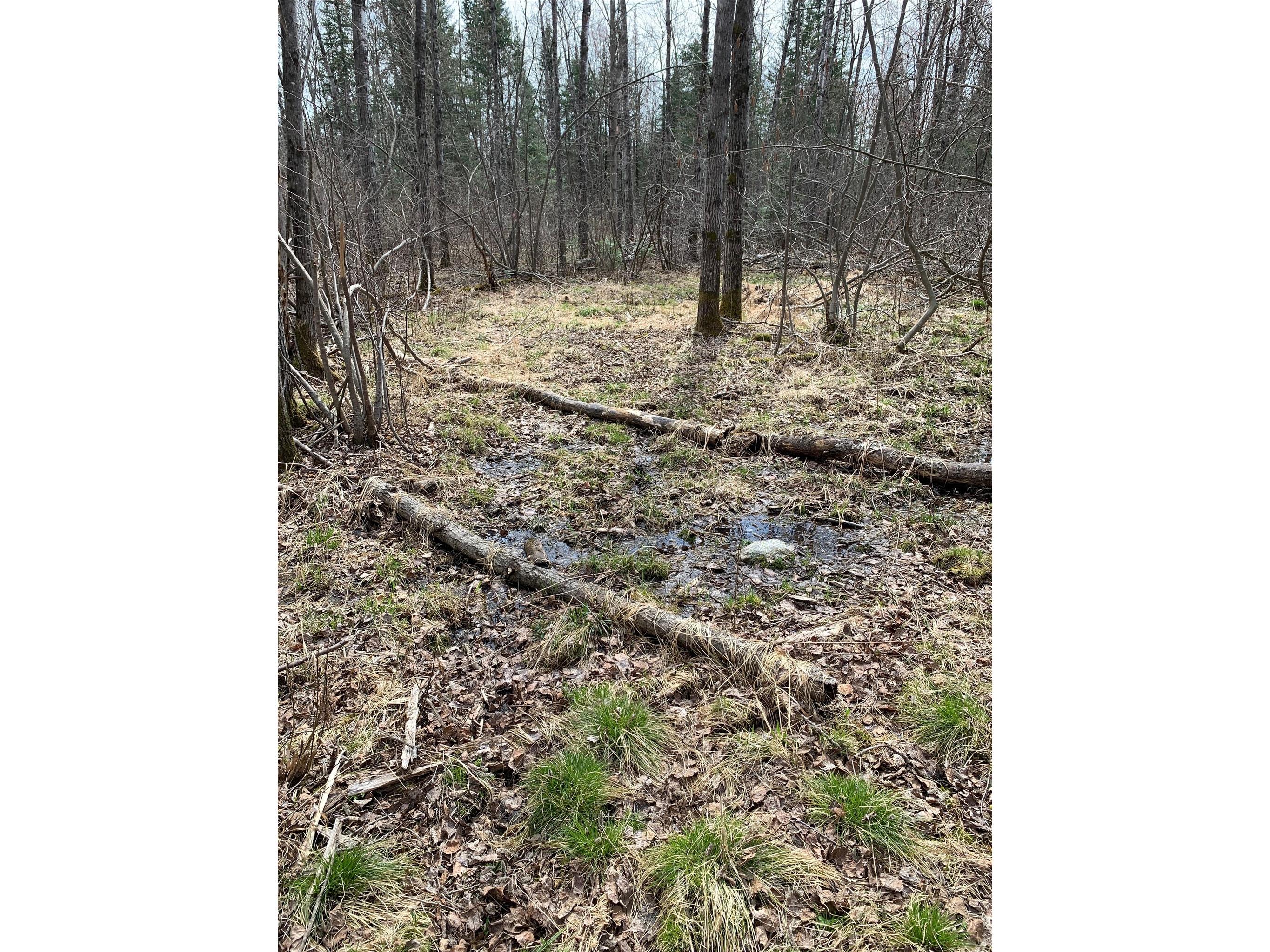 80+/- Acres Off South Park Road Butternut WI 54514 - Smith Creek 1600524 image29