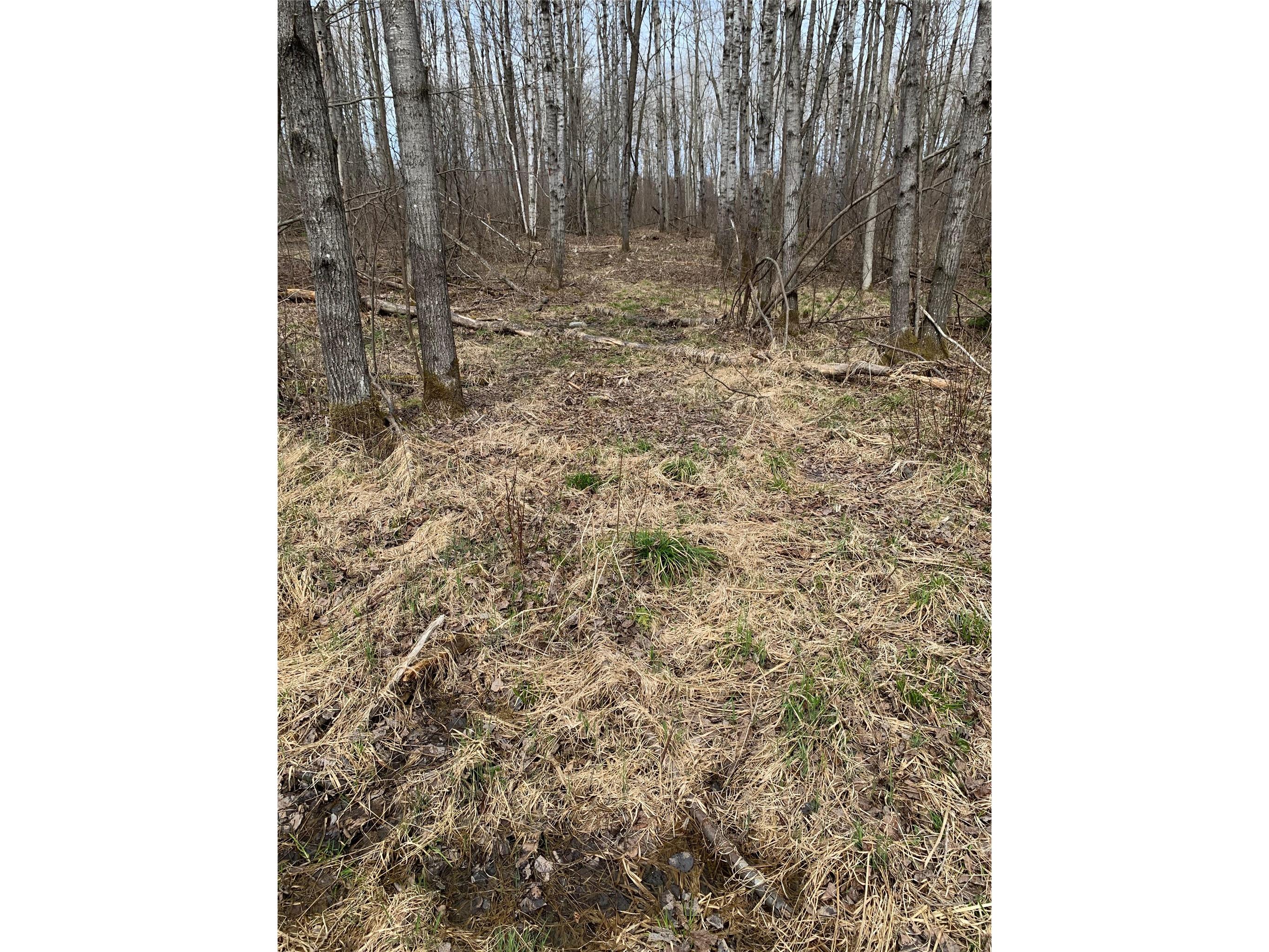 80+/- Acres Off South Park Road Butternut WI 54514 - Smith Creek 1600524 image30
