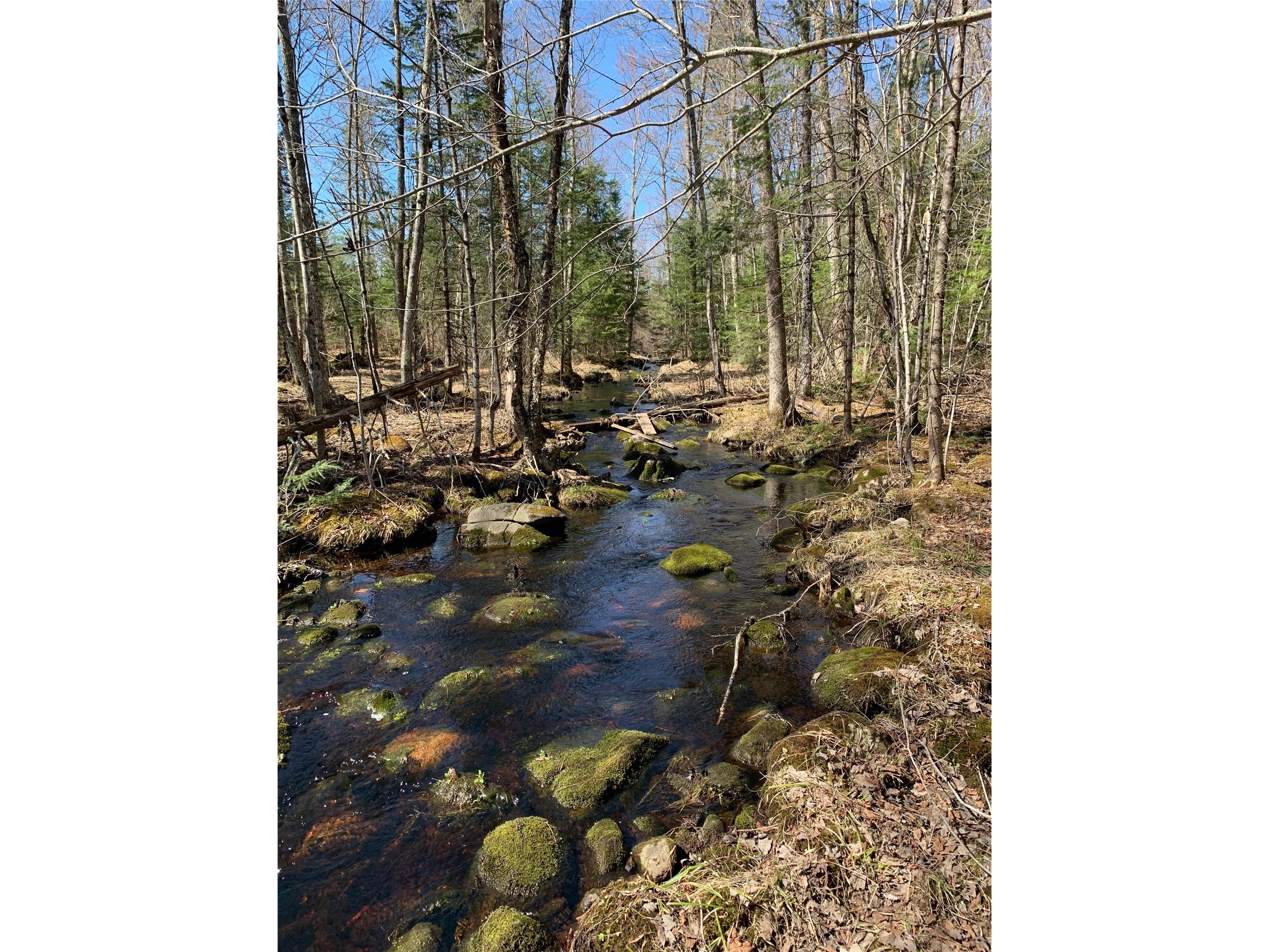 80+/- Acres Off South Park Road Butternut WI 54514 - Smith Creek 1600524 image31