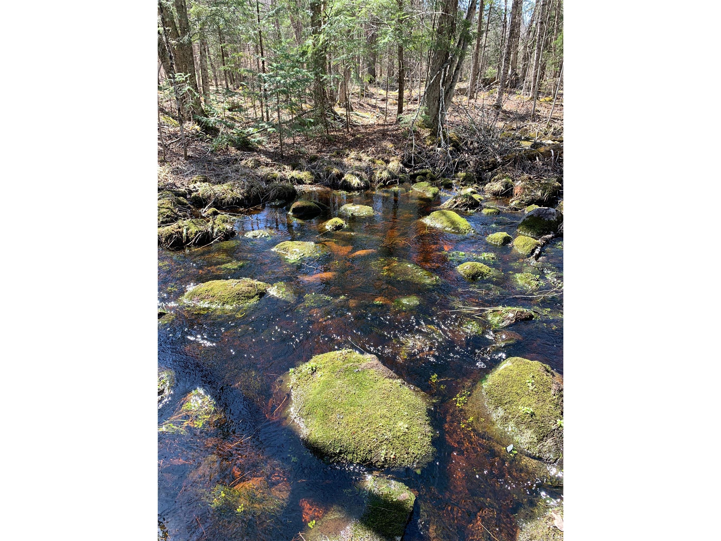 80+/- Acres Off South Park Road Butternut WI 54514 - Smith Creek 1600524 image32