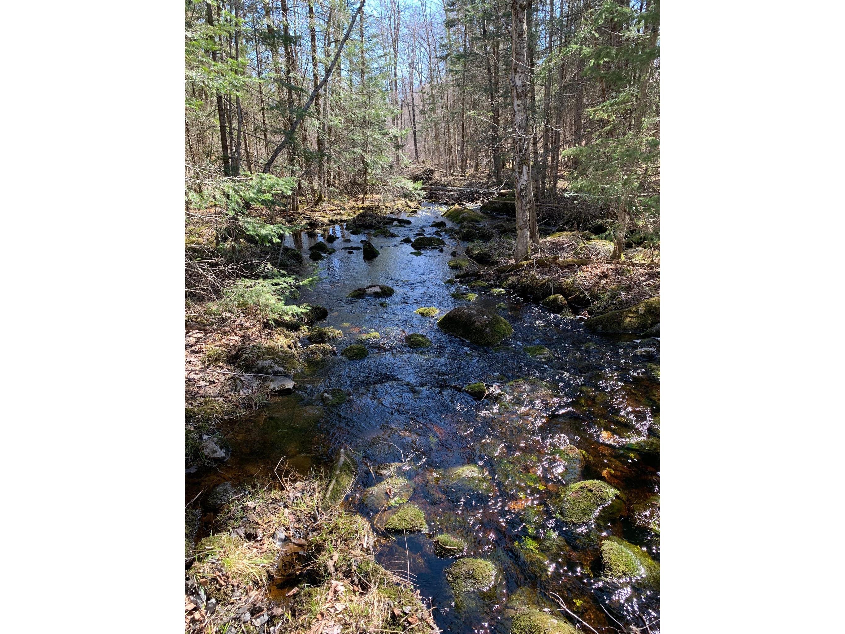 80+/- Acres Off South Park Road Butternut WI 54514 - Smith Creek 1600524 image33