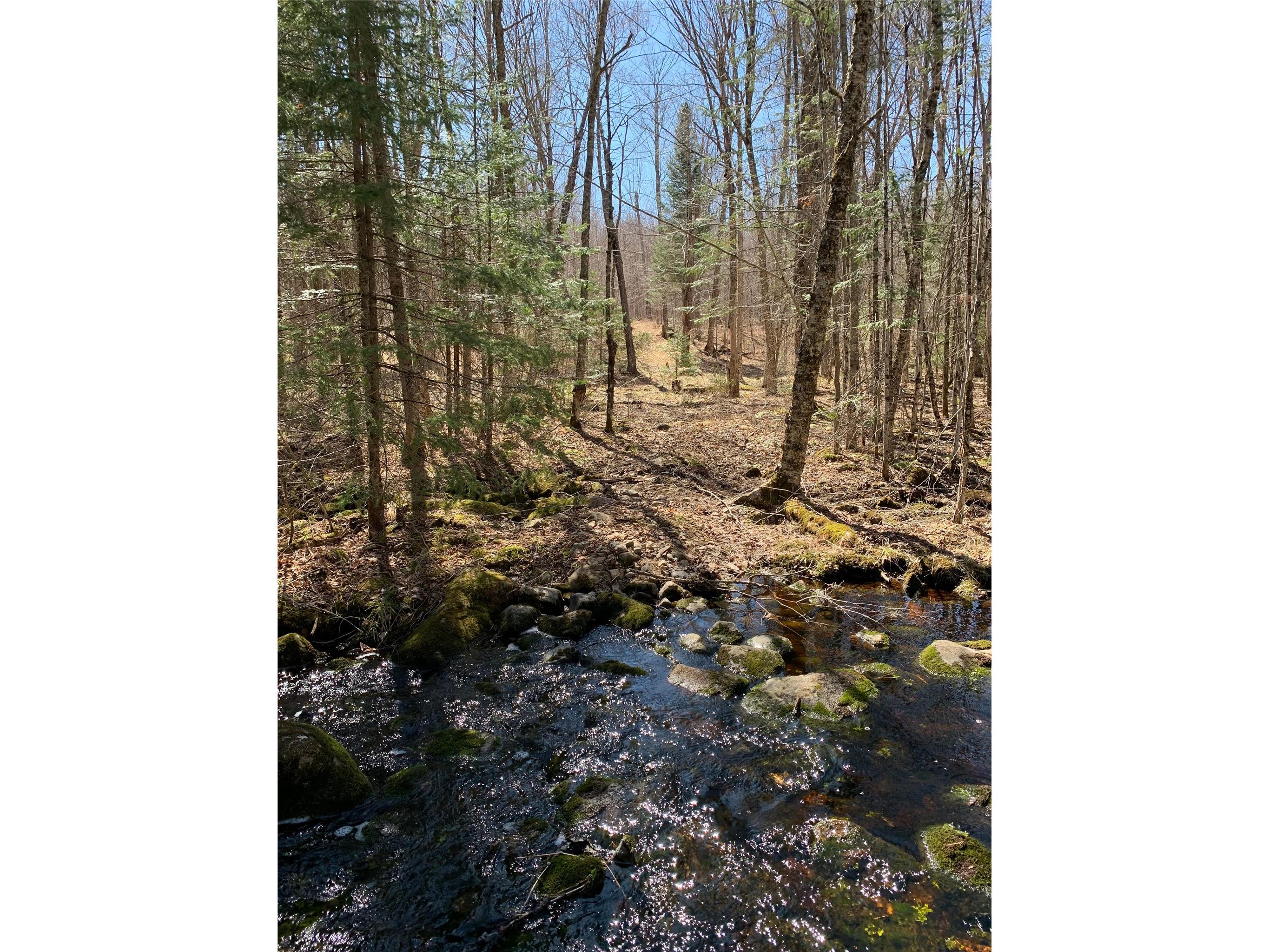 80+/- Acres Off South Park Road Butternut WI 54514 - Smith Creek 1600524 image34