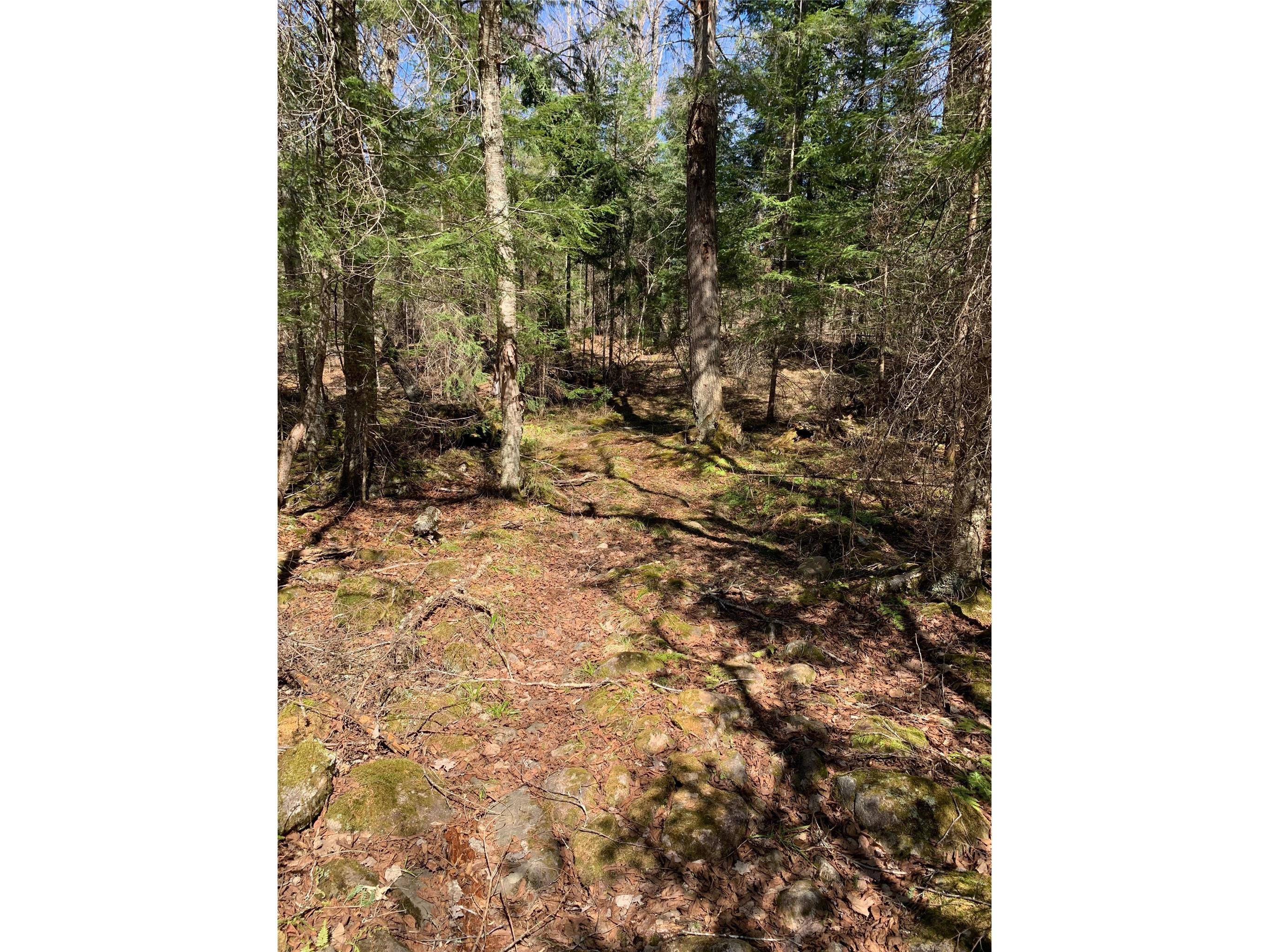 80+/- Acres Off South Park Road Butternut WI 54514 - Smith Creek 1600524 image35