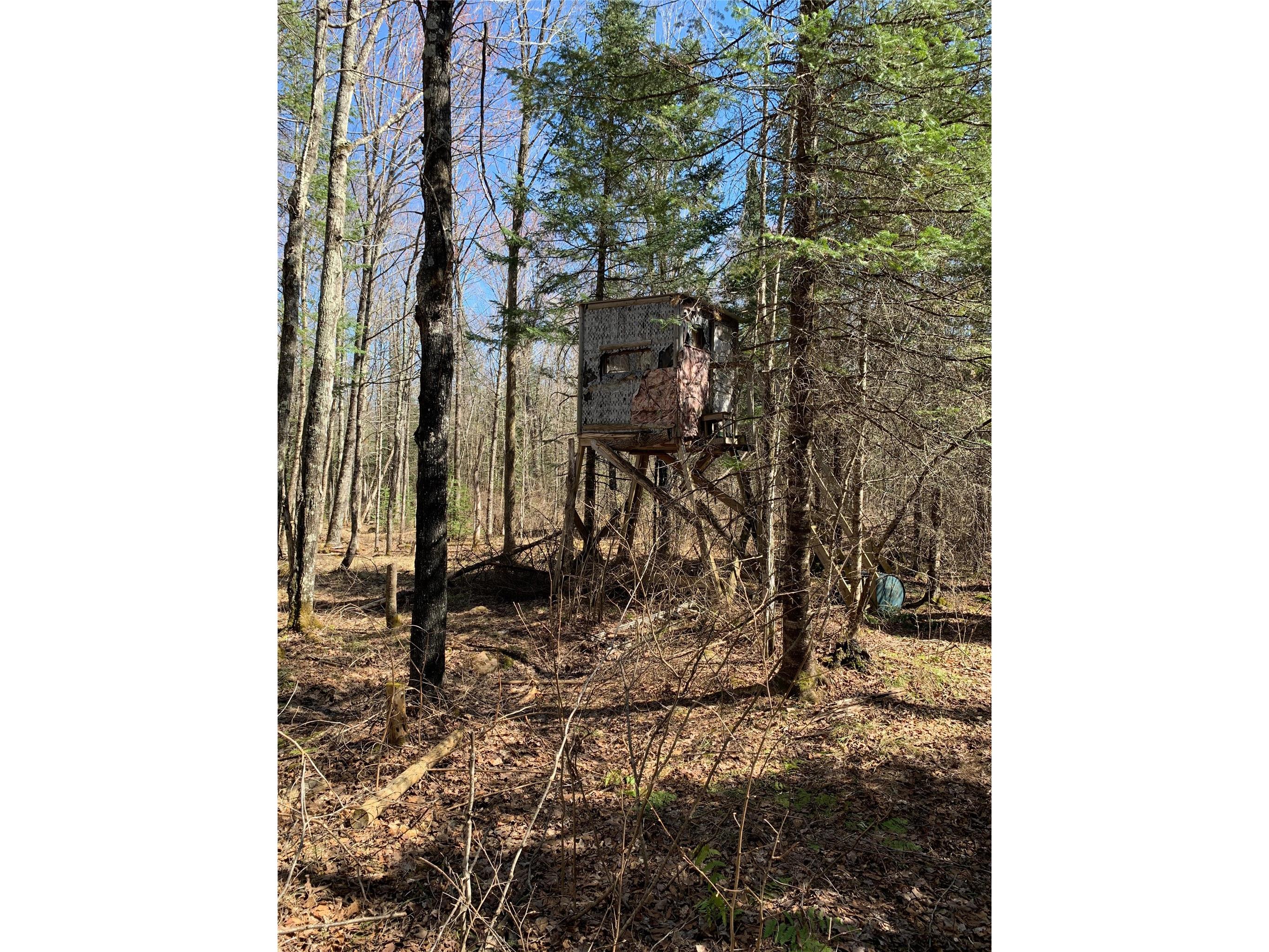 80+/- Acres Off South Park Road Butternut WI 54514 - Smith Creek 1600524 image36