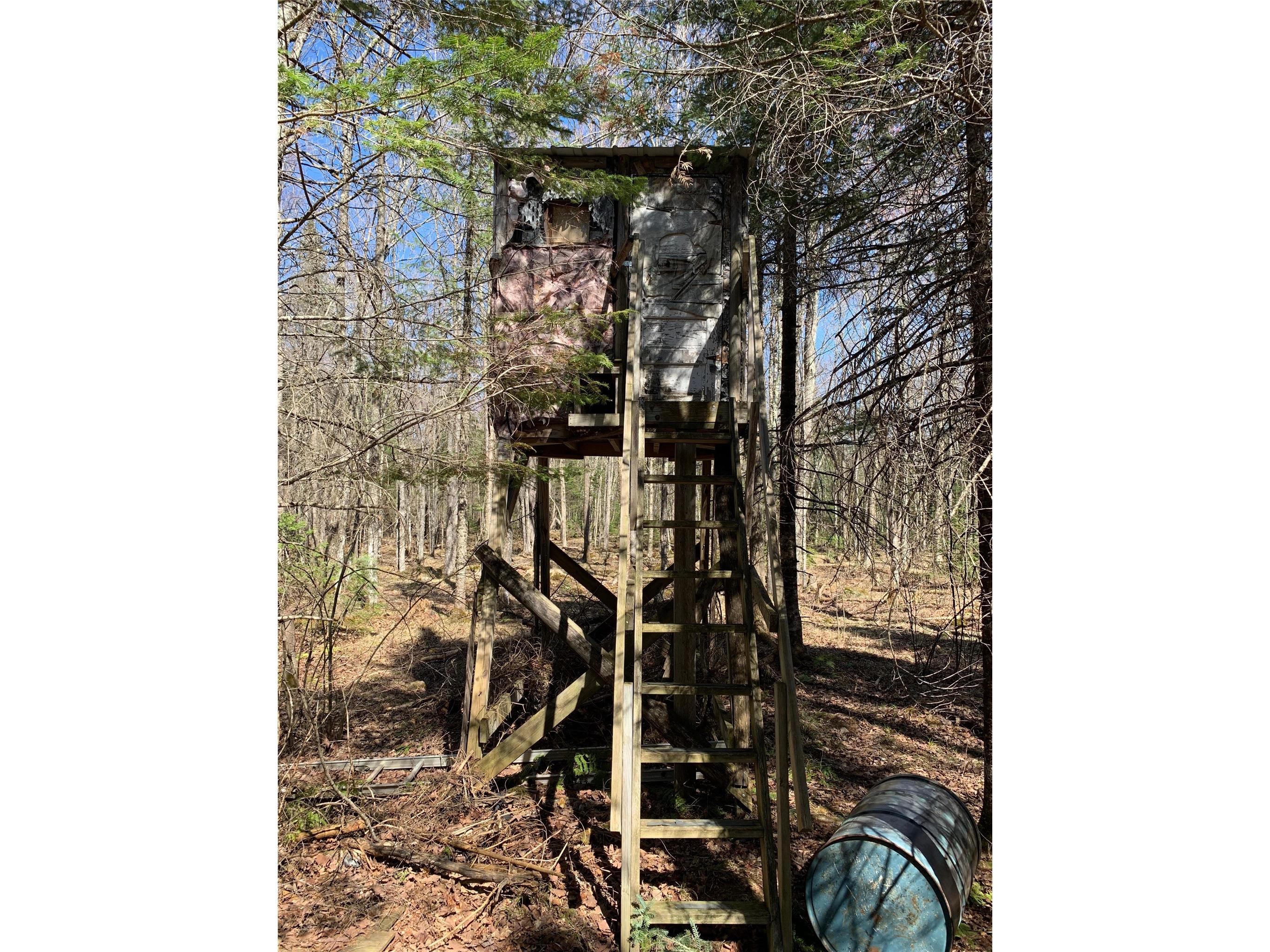 80+/- Acres Off South Park Road Butternut WI 54514 - Smith Creek 1600524 image37