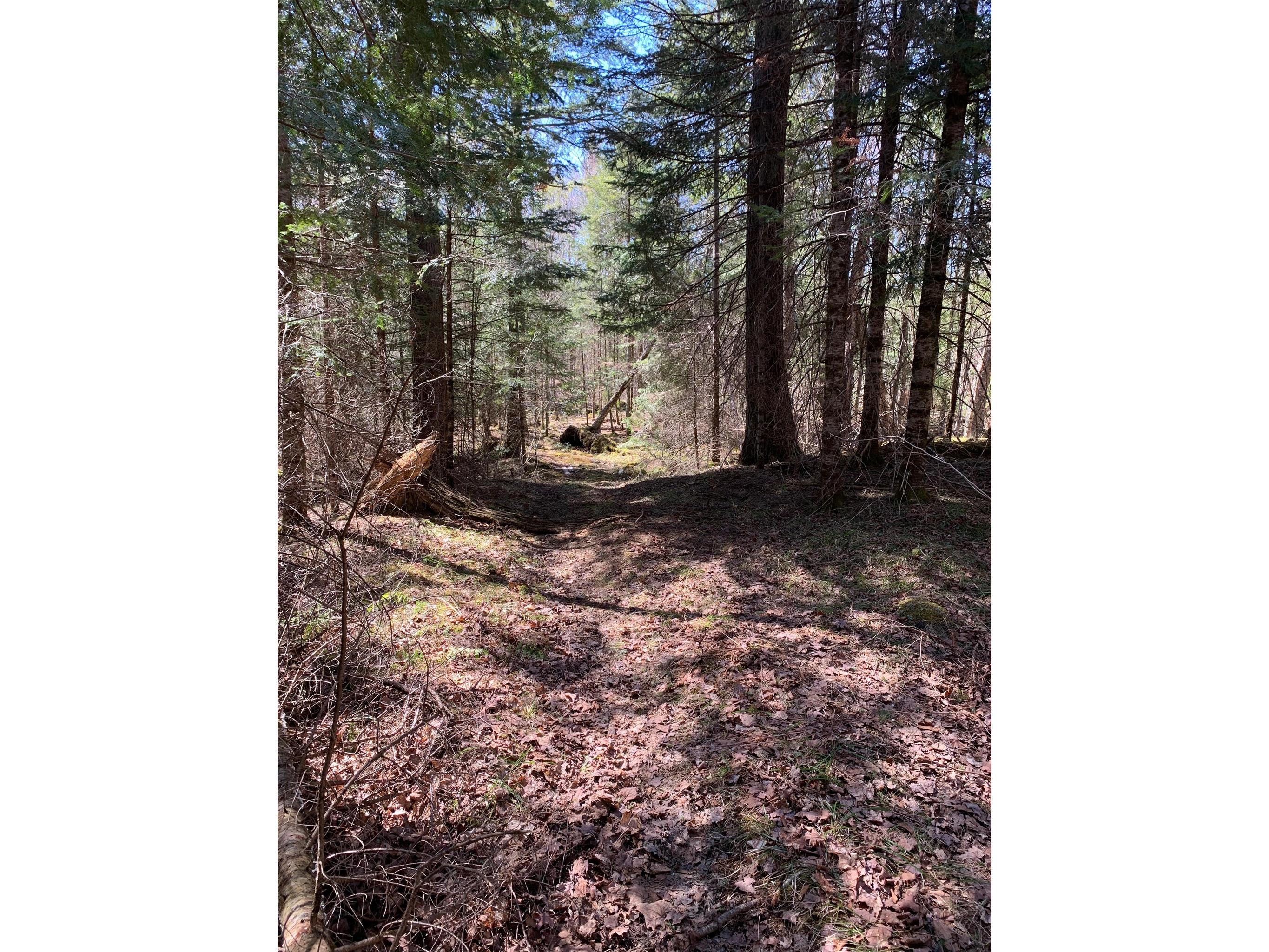 80+/- Acres Off South Park Road Butternut WI 54514 - Smith Creek 1600524 image39