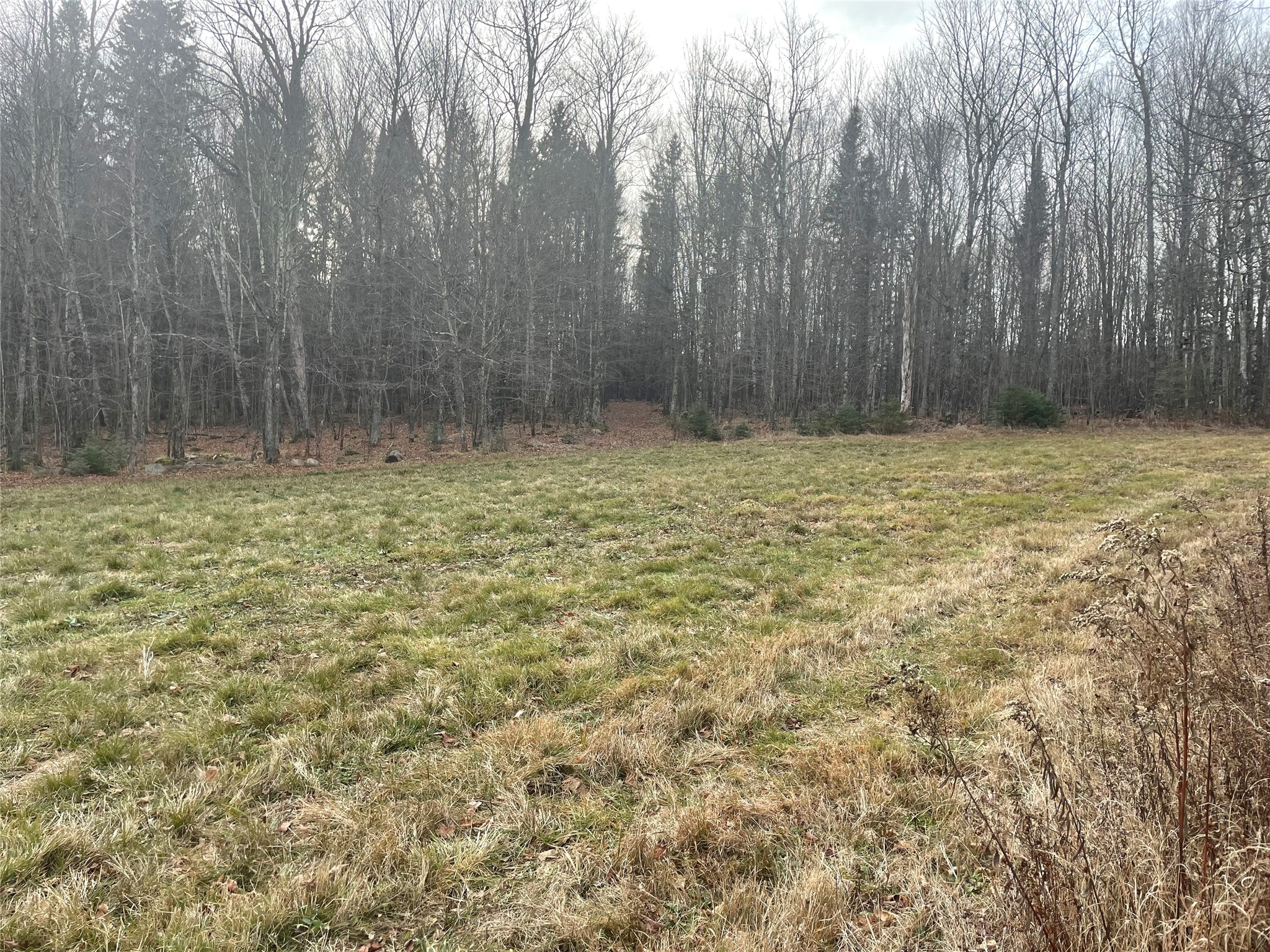 80+/- Acres Off South Park Road Butternut WI 54514 - Smith Creek 1600524 image4