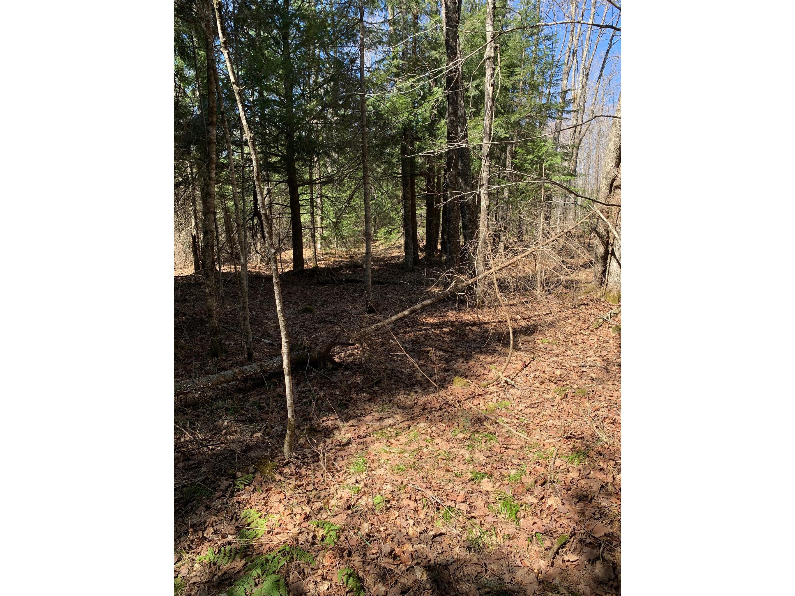 80+/- Acres Off South Park Road Butternut WI 54514 - Smith Creek 1600524 image40