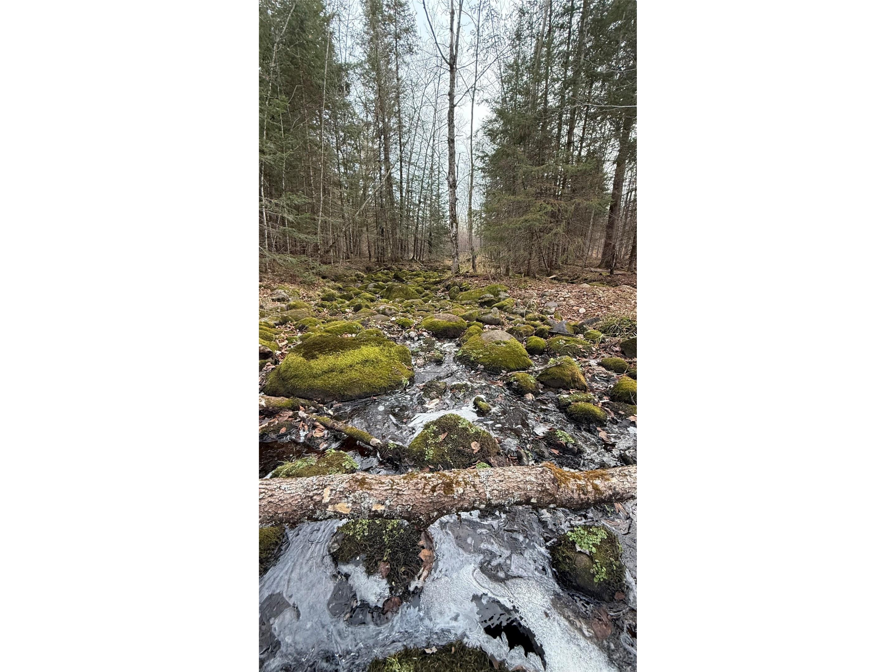 80+/- Acres Off South Park Road Butternut WI 54514 - Smith Creek 1600524 image42