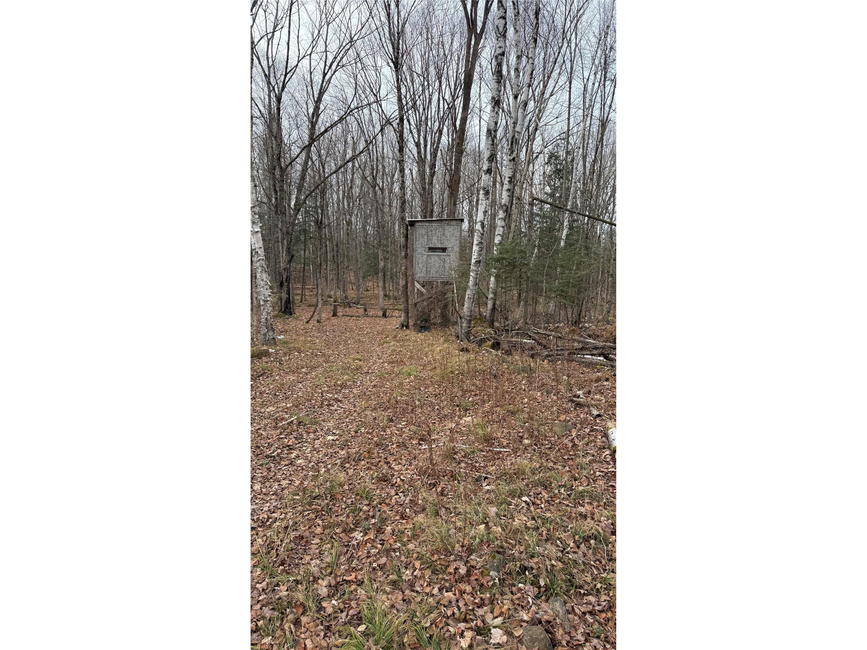 80+/- Acres Off South Park Road Butternut WI 54514 - Smith Creek 1600524 image43