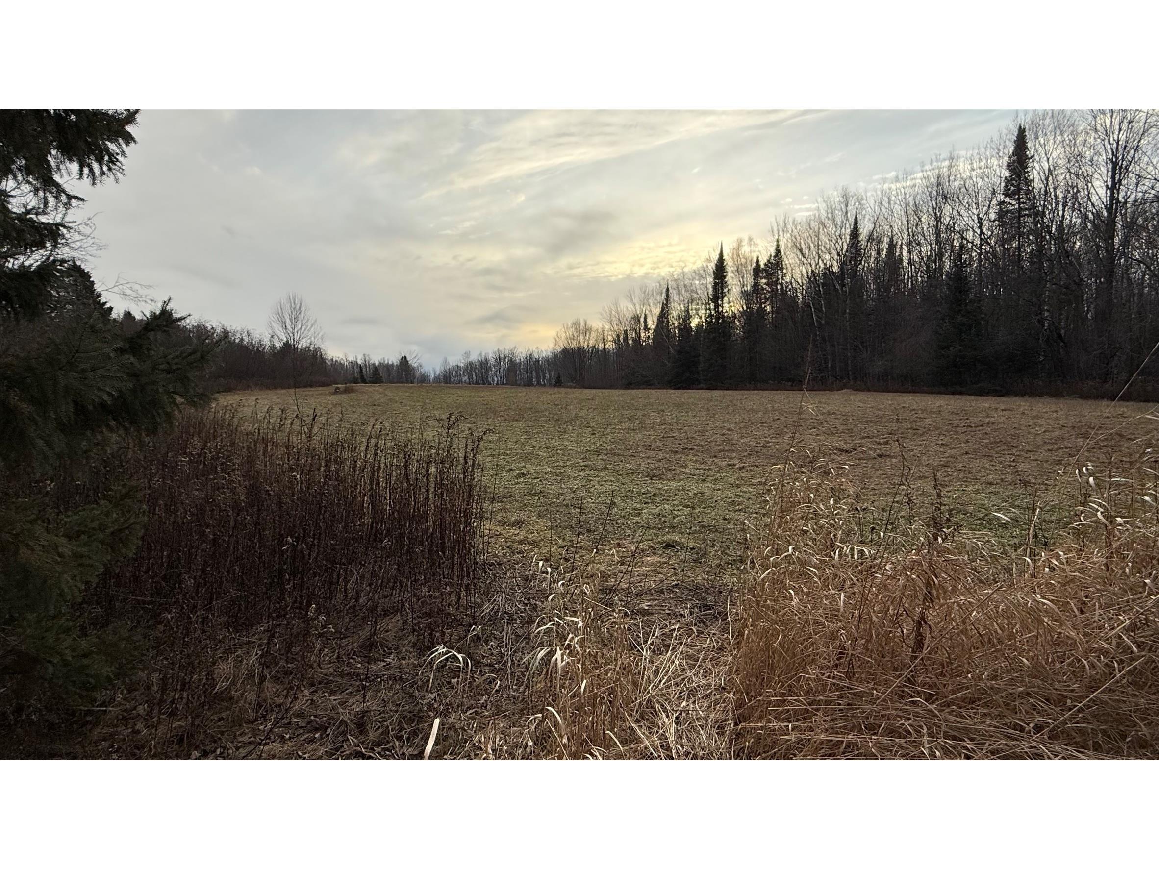 80+/- Acres Off South Park Road Butternut WI 54514 - Smith Creek 1600524 image5