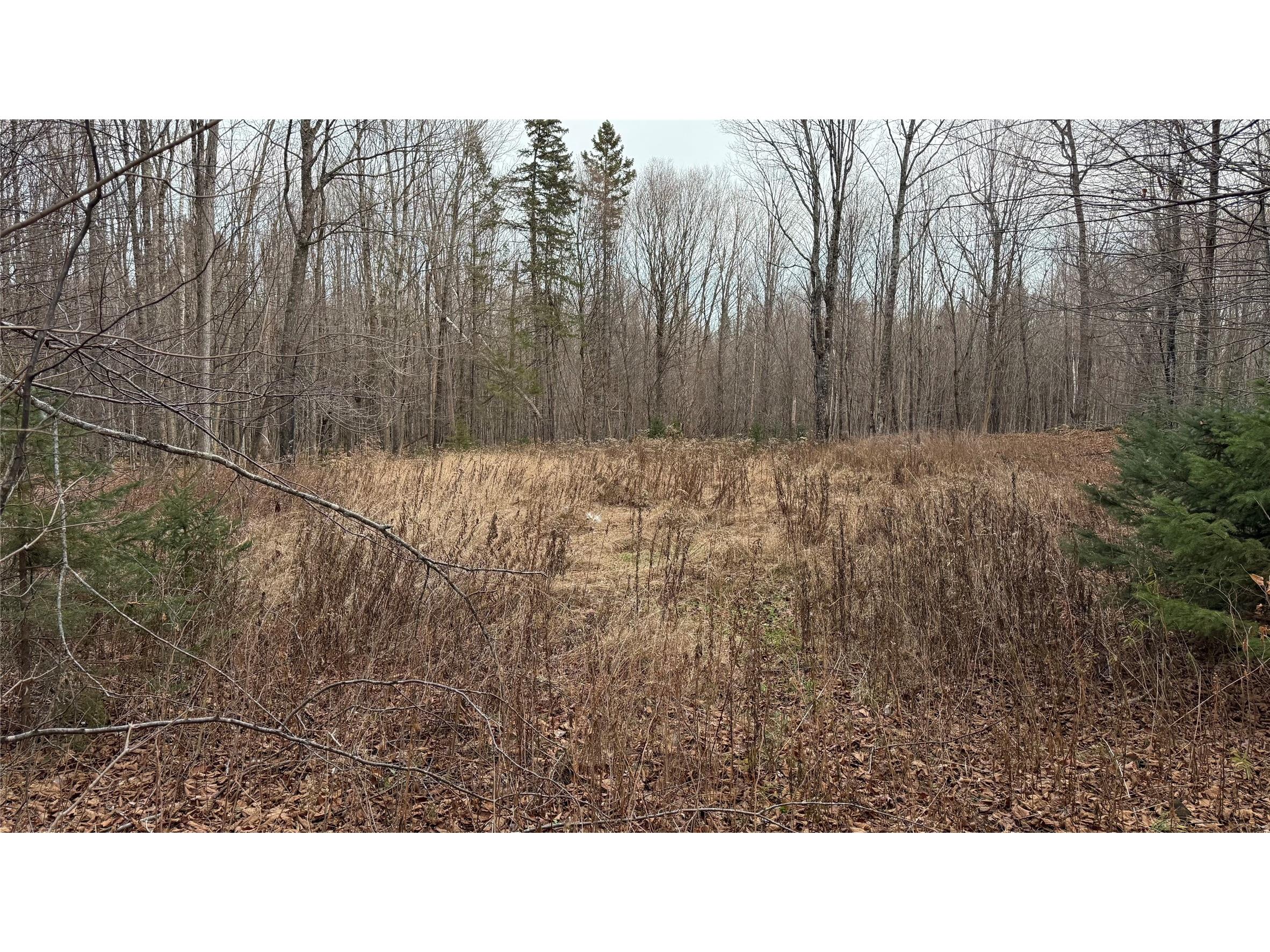 80+/- Acres Off South Park Road Butternut WI 54514 - Smith Creek 1600524 image6