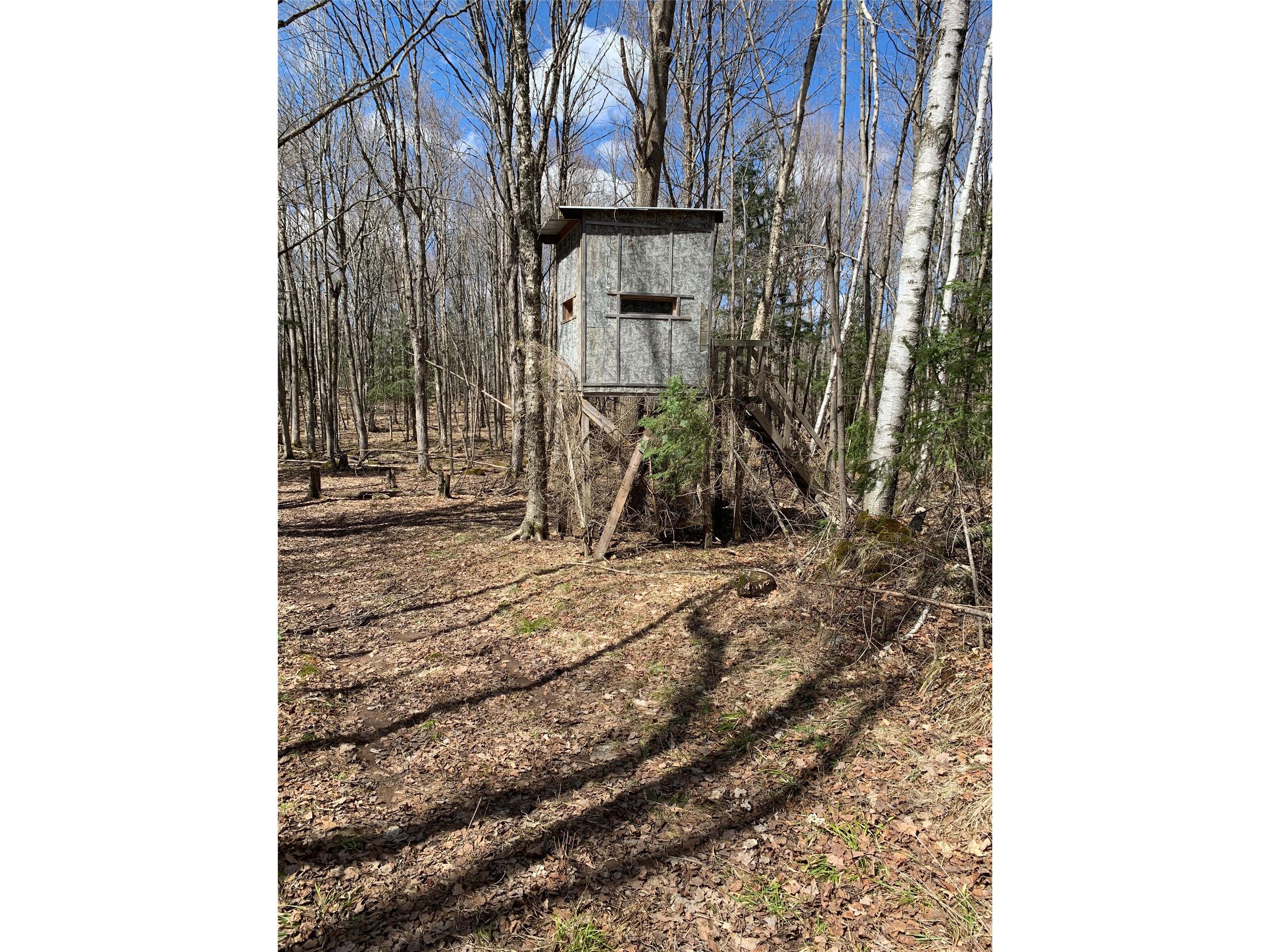 80+/- Acres Off South Park Road Butternut WI 54514 - Smith Creek 1600524 image7